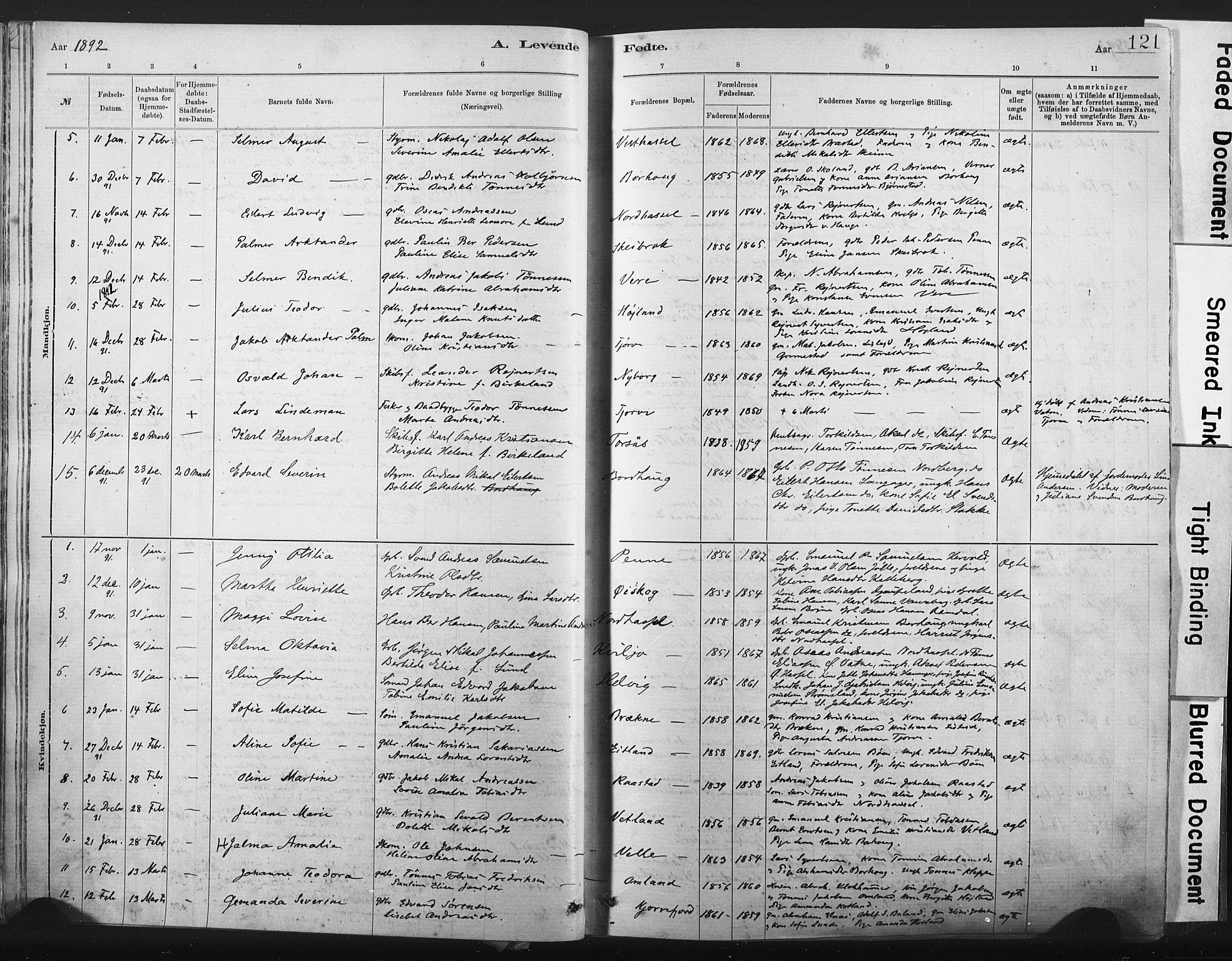 Lista sokneprestkontor, AV/SAK-1111-0027/F/Fa/L0012: Parish register (official) no. A 12, 1879-1903, p. 121