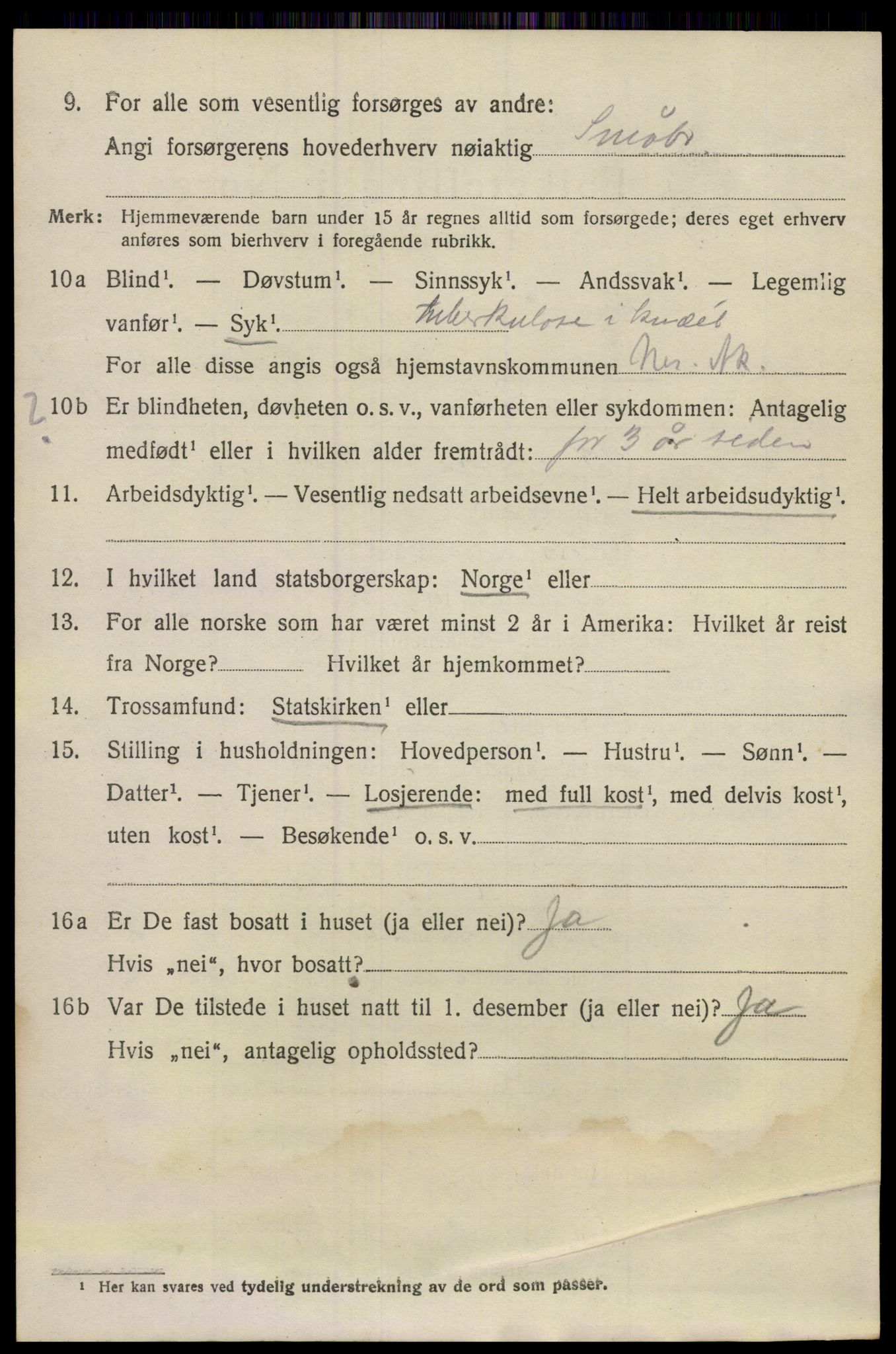 SAO, 1920 census for Nes, 1920, p. 7841