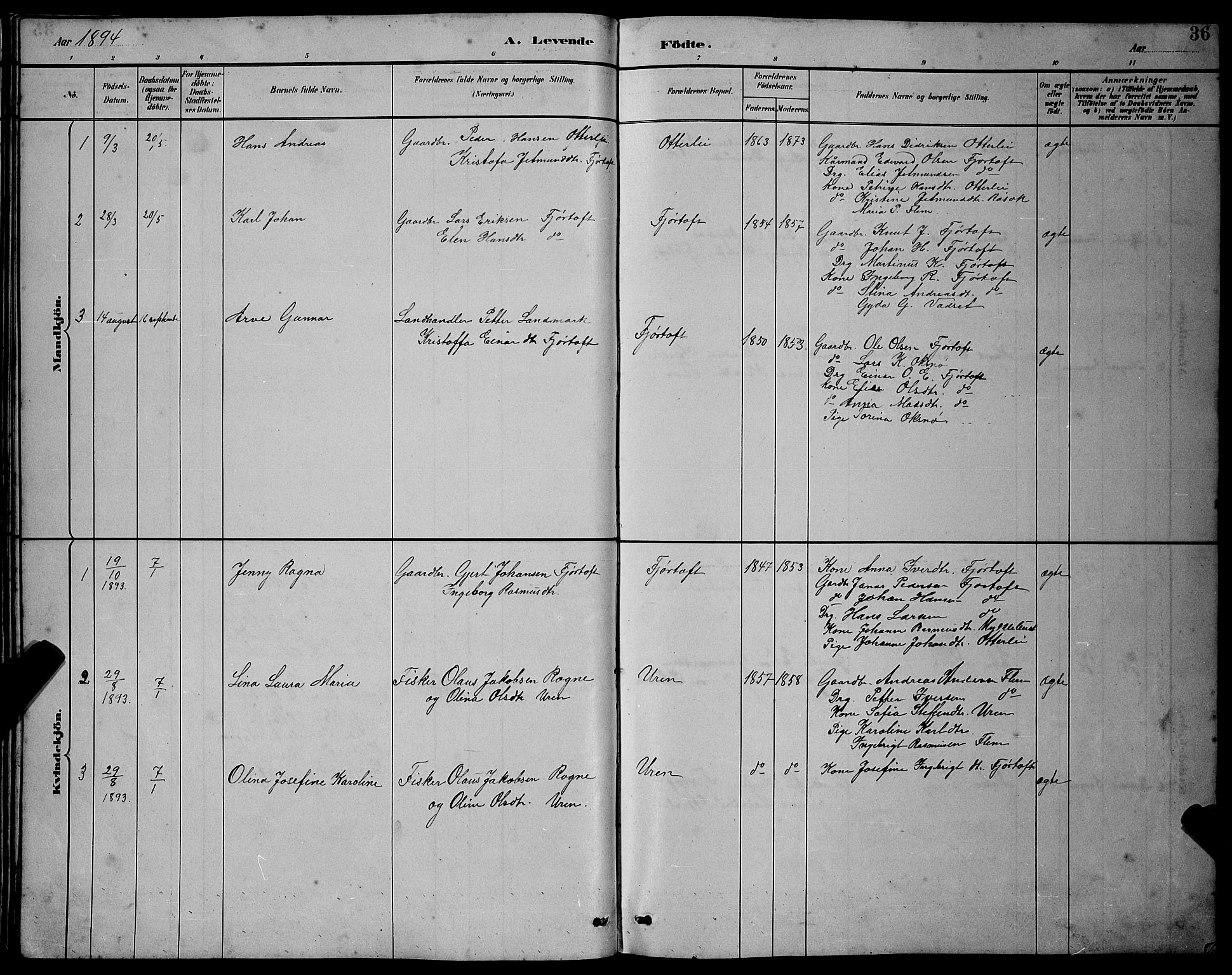 Ministerialprotokoller, klokkerbøker og fødselsregistre - Møre og Romsdal, AV/SAT-A-1454/538/L0523: Parish register (copy) no. 538C01, 1881-1900, p. 36