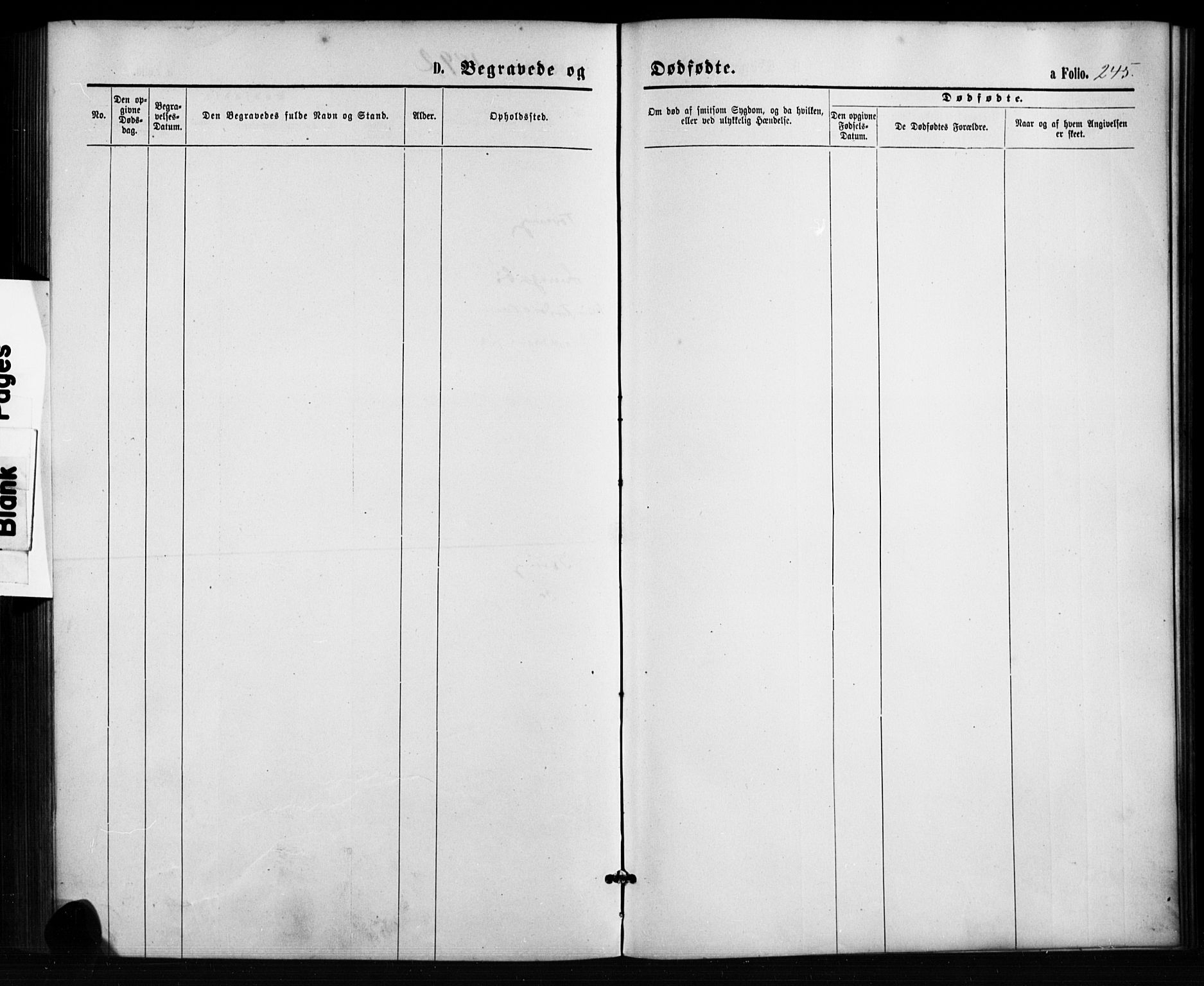 Birkenes sokneprestkontor, SAK/1111-0004/F/Fb/L0003: Parish register (copy) no. B 3, 1876-1892, p. 245