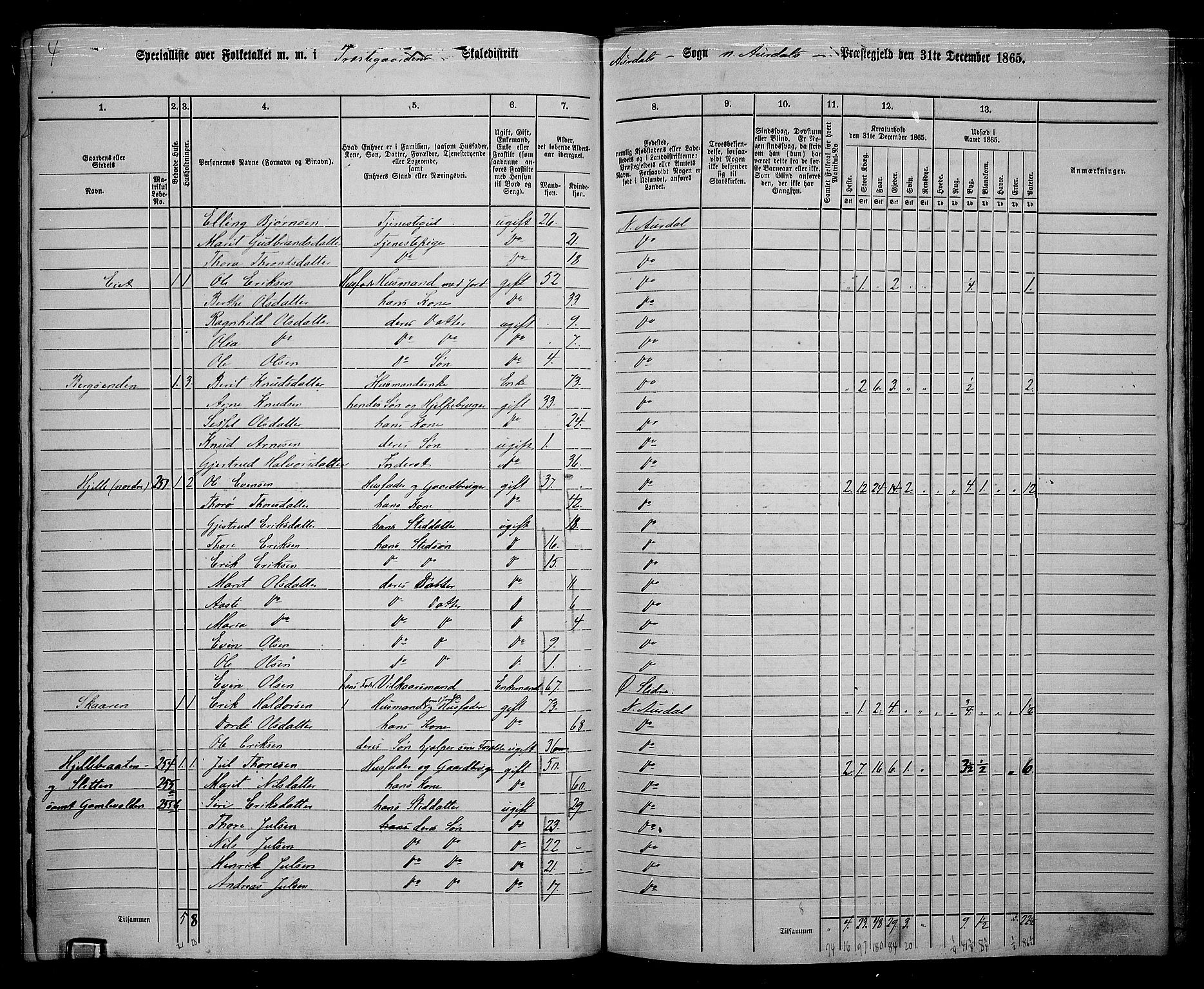 RA, 1865 census for Nord-Aurdal, 1865, p. 167