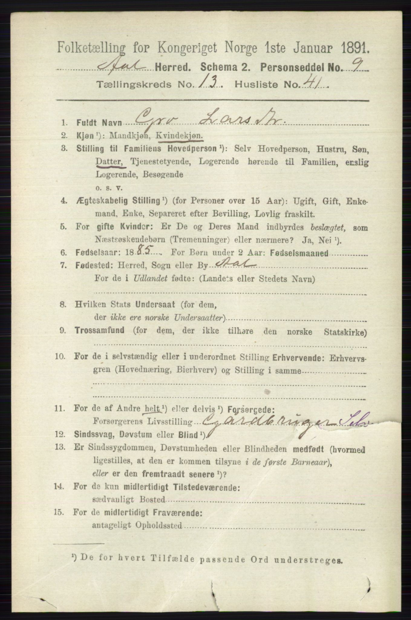 RA, 1891 census for 0619 Ål, 1891, p. 3490