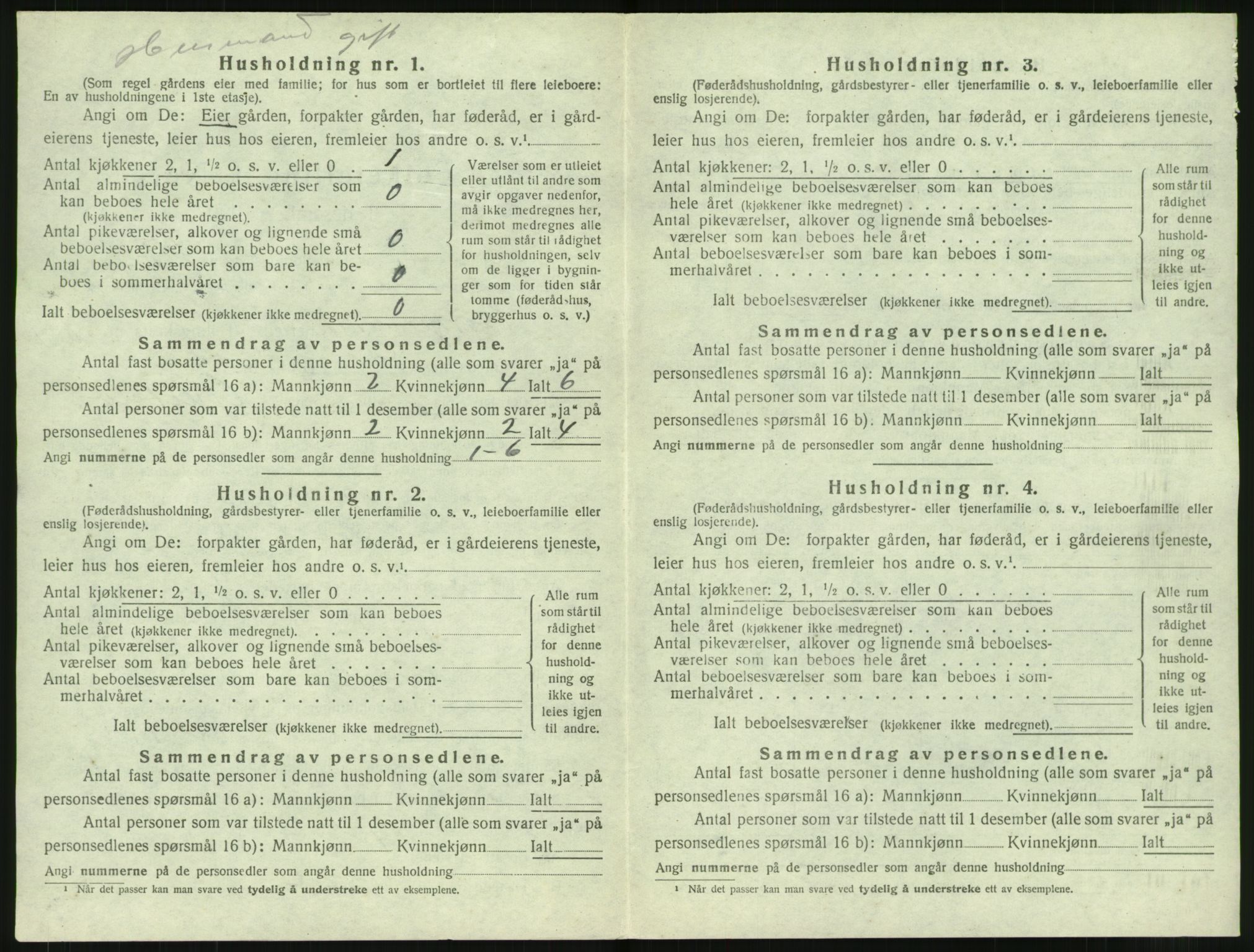 SAT, 1920 census for Borge, 1920, p. 916