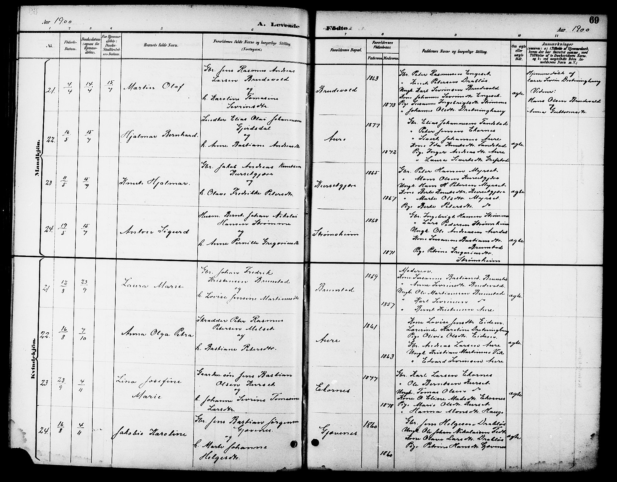 Ministerialprotokoller, klokkerbøker og fødselsregistre - Møre og Romsdal, AV/SAT-A-1454/523/L0340: Parish register (copy) no. 523C03, 1892-1902, p. 69