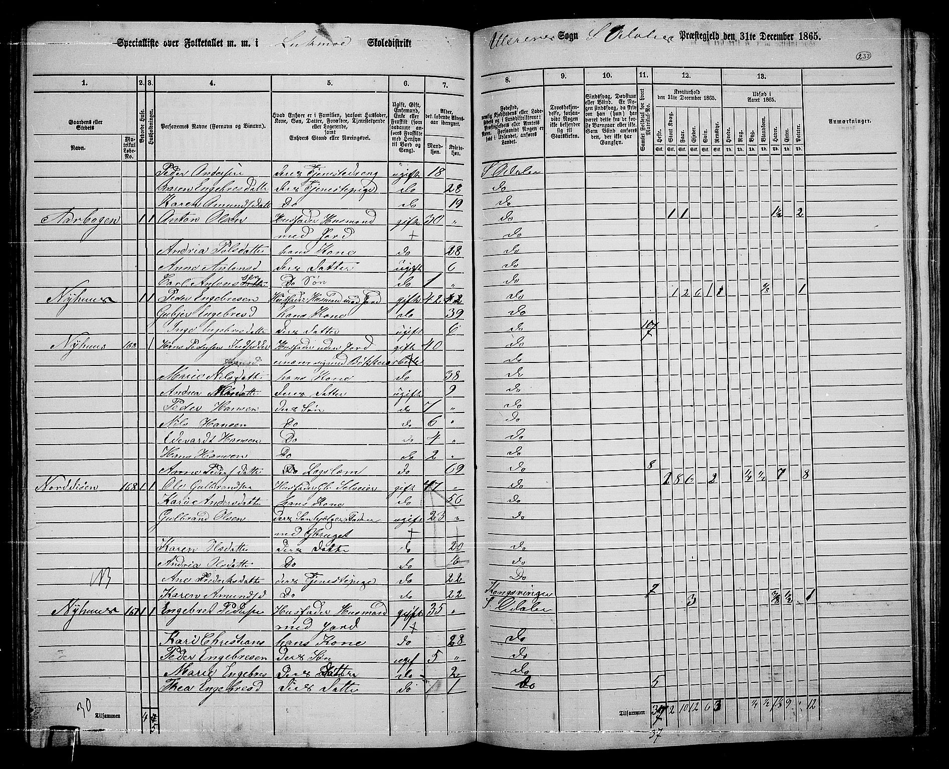 RA, 1865 census for Sør-Odal, 1865, p. 204