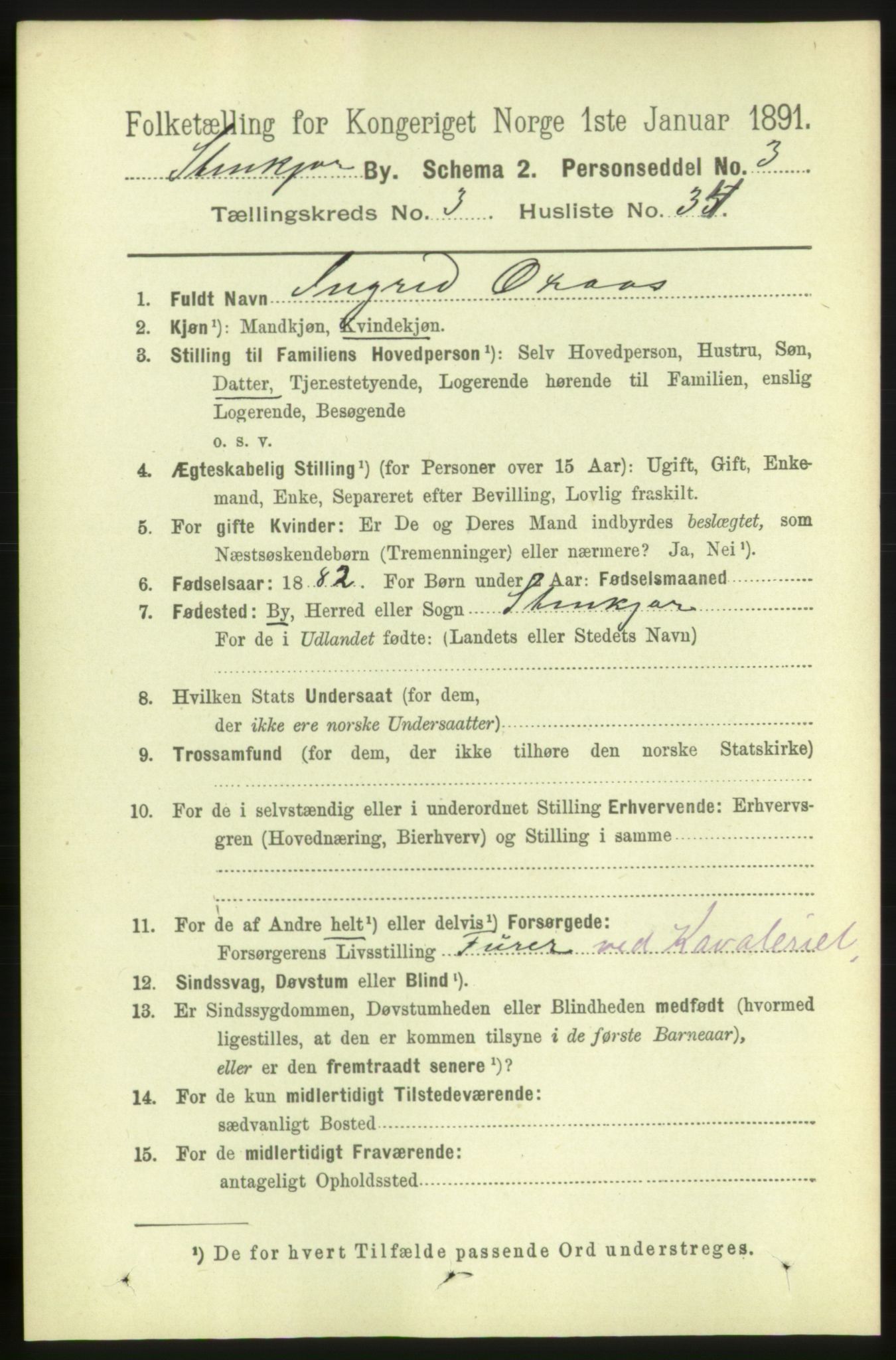 RA, 1891 census for 1702 Steinkjer, 1891, p. 1141