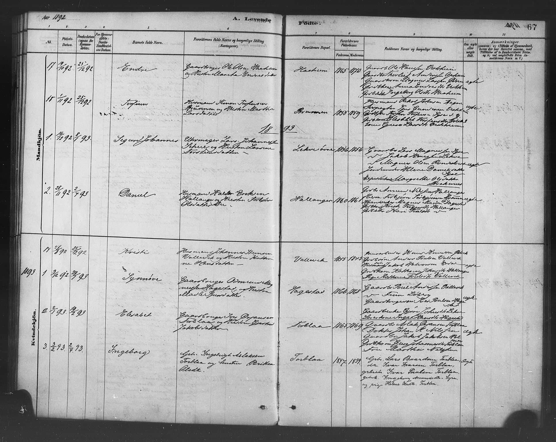 Ulvik sokneprestembete, SAB/A-78801/H/Haa: Parish register (official) no. B 1, 1878-1897, p. 67