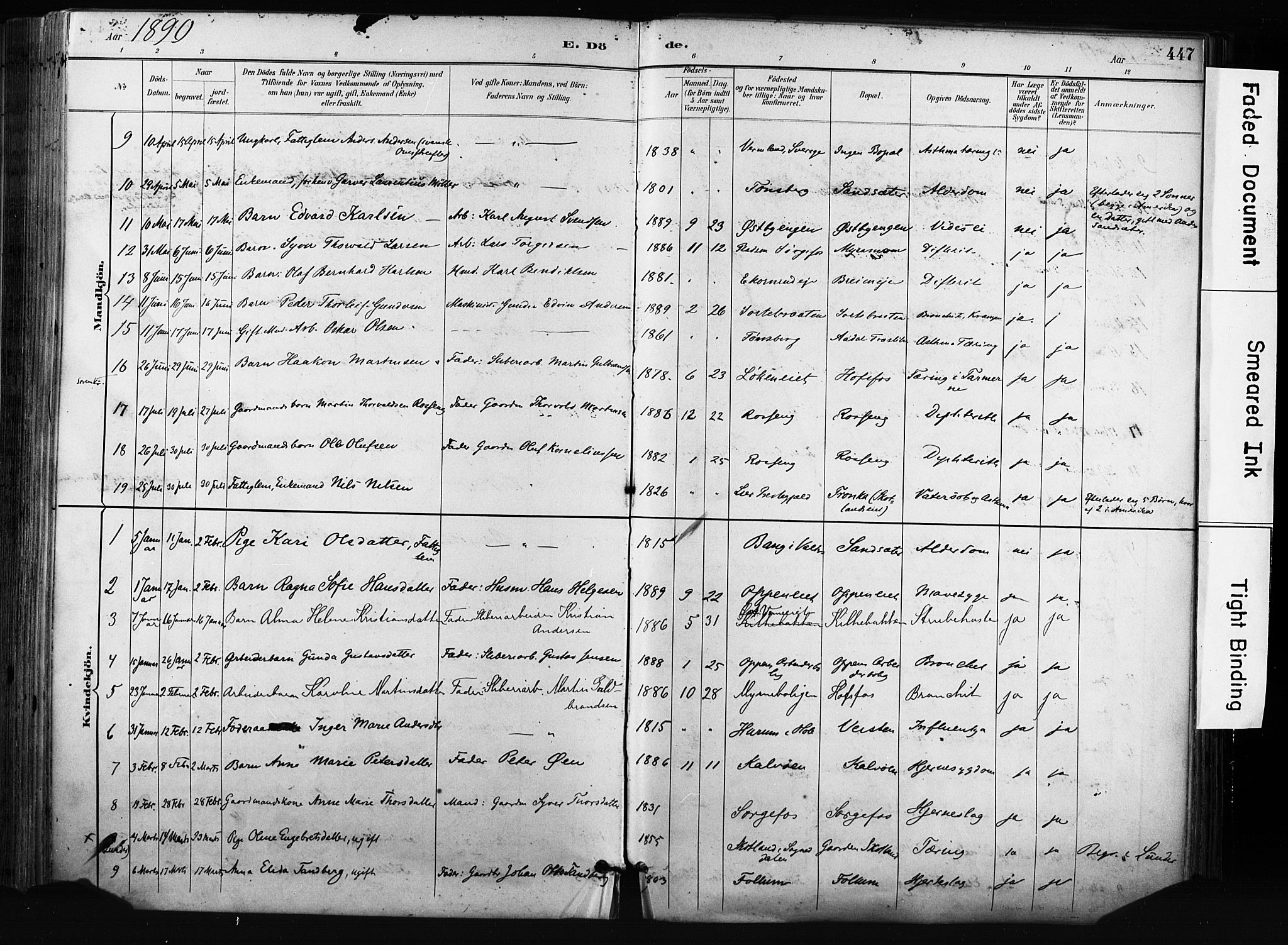 Norderhov kirkebøker, AV/SAKO-A-237/F/Fa/L0016: Parish register (official) no. 16, 1885-1902, p. 447