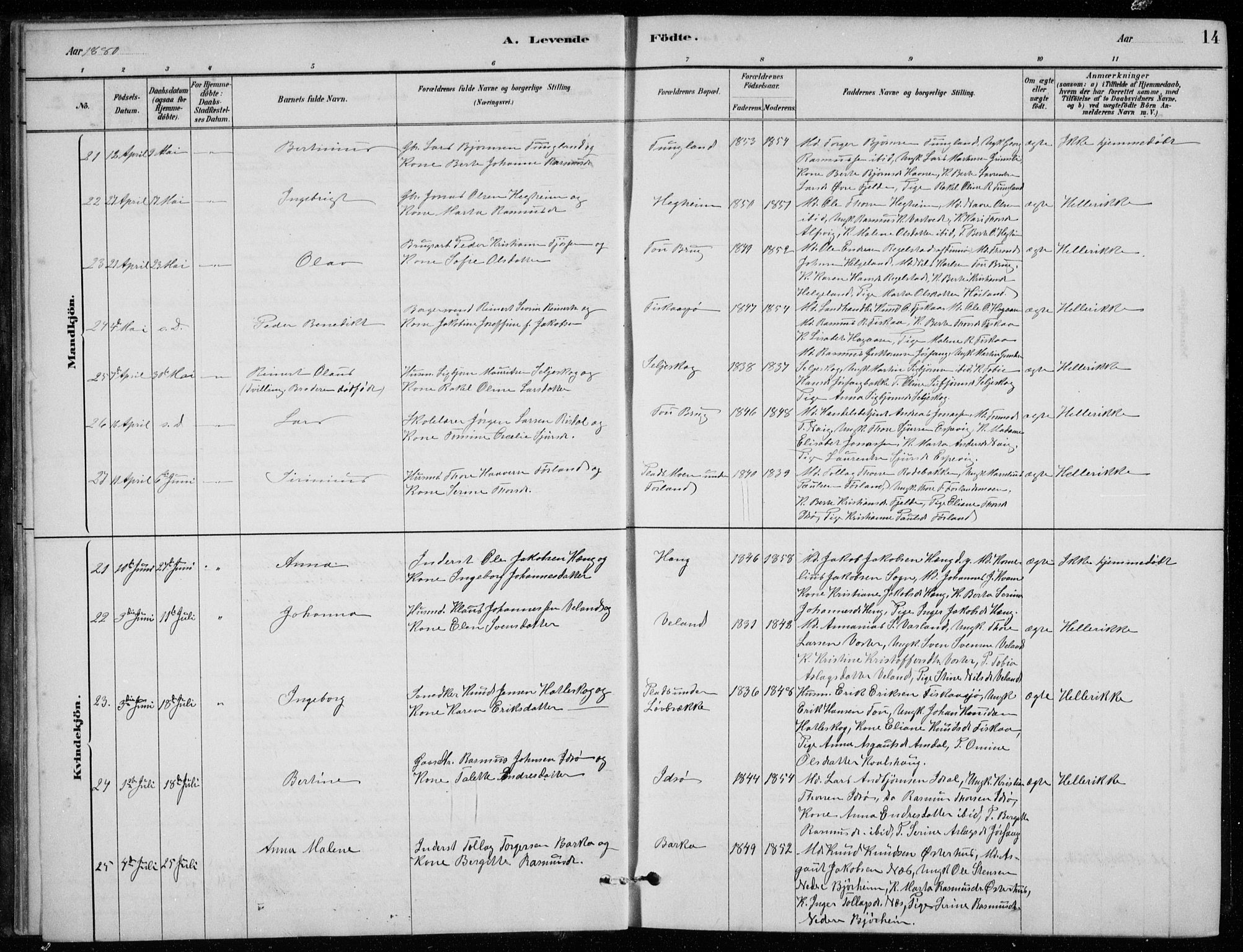 Strand sokneprestkontor, AV/SAST-A-101828/H/Ha/Hab/L0004: Parish register (copy) no. B 4, 1878-1903, p. 14