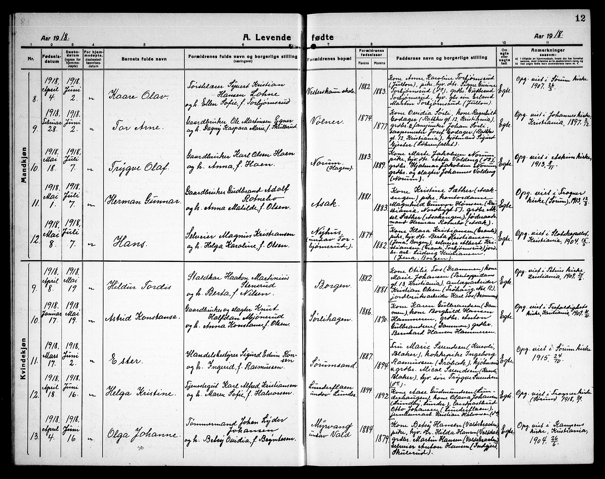 Sørum prestekontor Kirkebøker, AV/SAO-A-10303/G/Ga/L0008: Parish register (copy) no. I 8, 1917-1934, p. 12