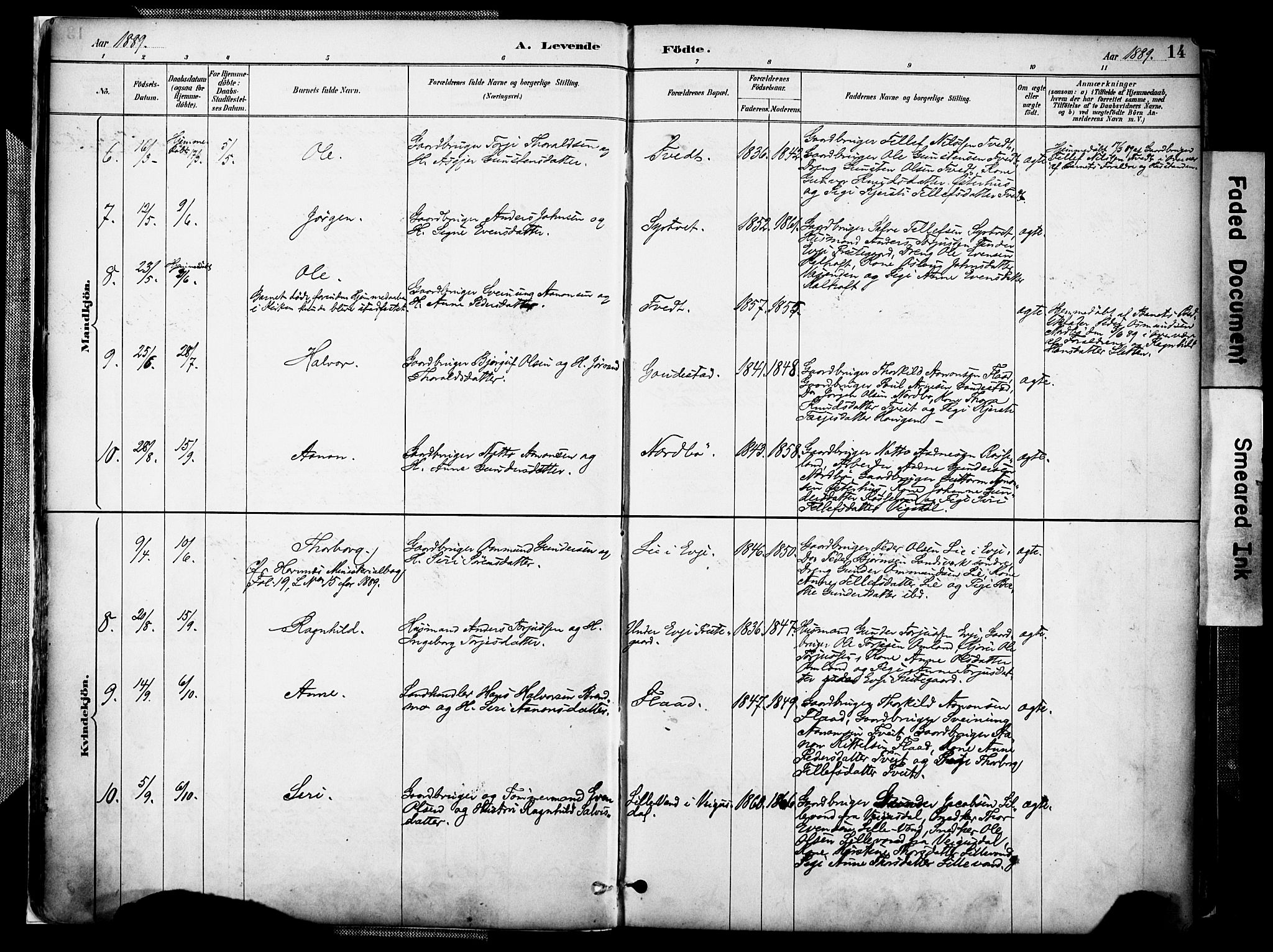 Evje sokneprestkontor, AV/SAK-1111-0008/F/Fa/Faa/L0007: Parish register (official) no. A 7, 1884-1909, p. 14