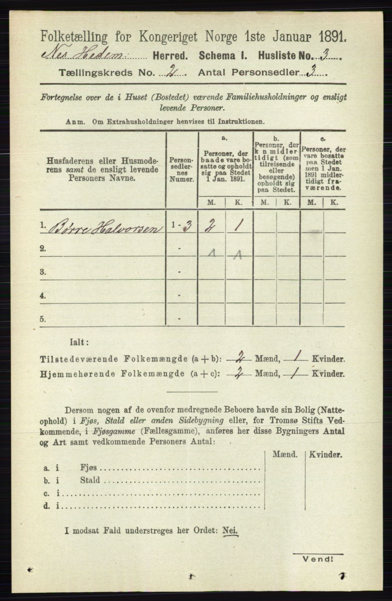 RA, 1891 census for 0411 Nes, 1891, p. 1006