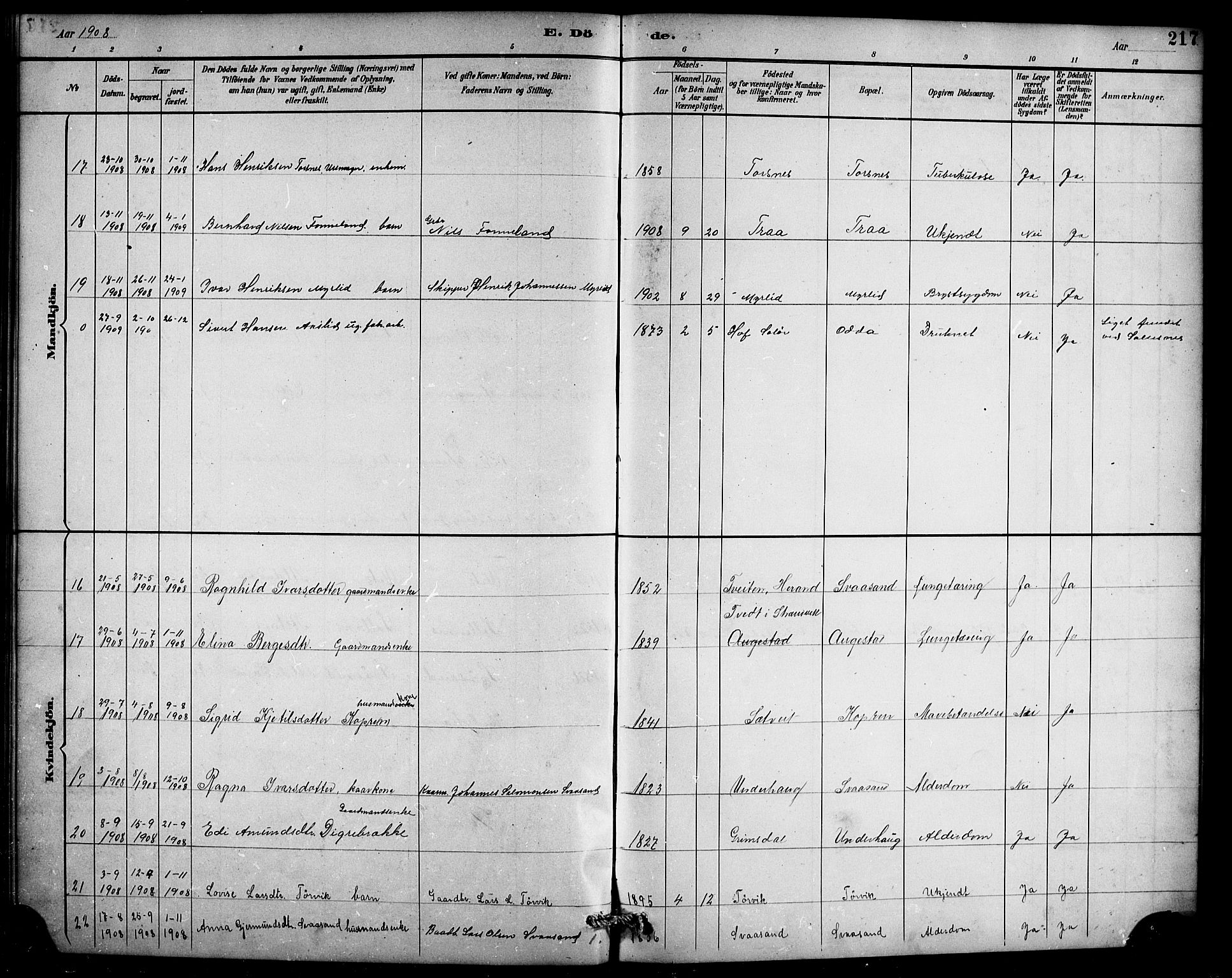 Ullensvang sokneprestembete, AV/SAB-A-78701/H/Hab: Parish register (copy) no. D 1, 1891-1908, p. 217