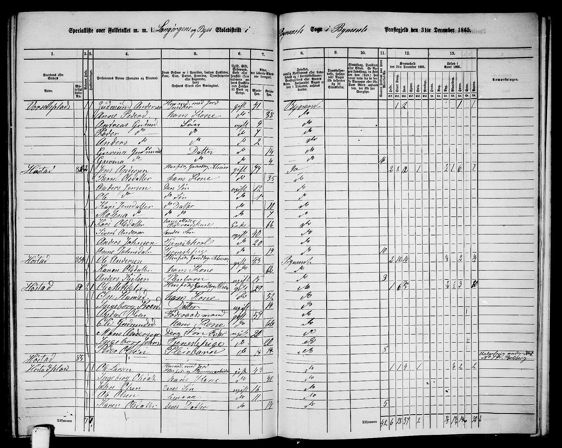 RA, 1865 census for Byneset, 1865, p. 101