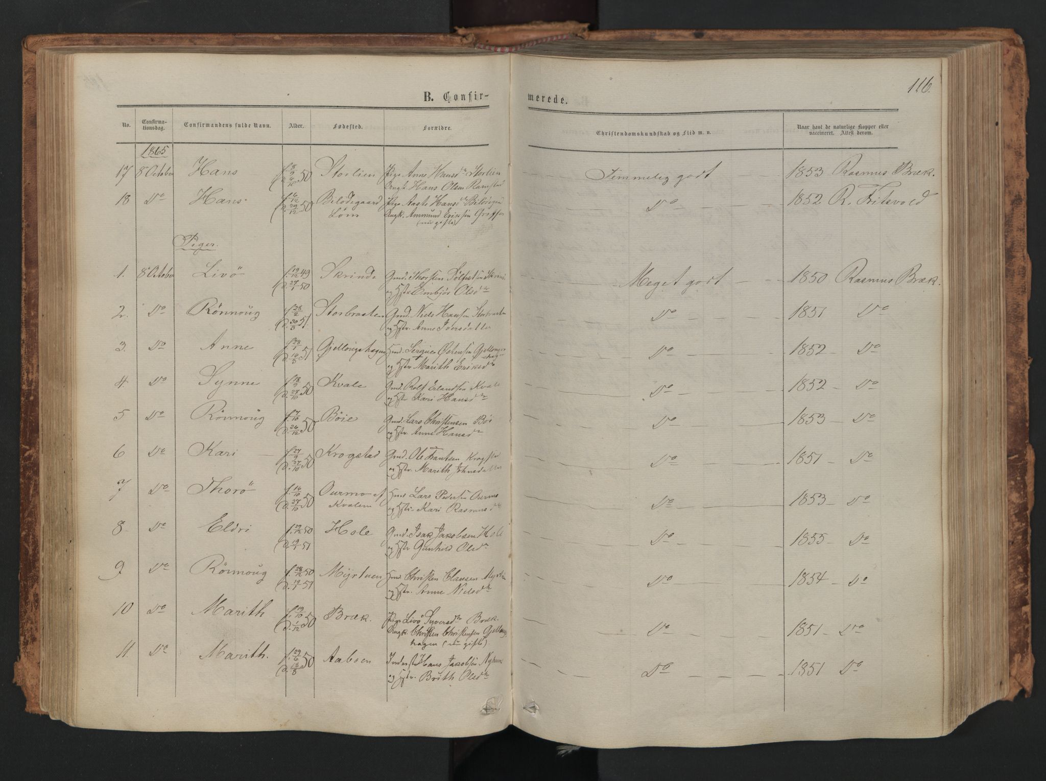 Skjåk prestekontor, SAH/PREST-072/H/Ha/Haa/L0001: Parish register (official) no. 1, 1863-1879, p. 116