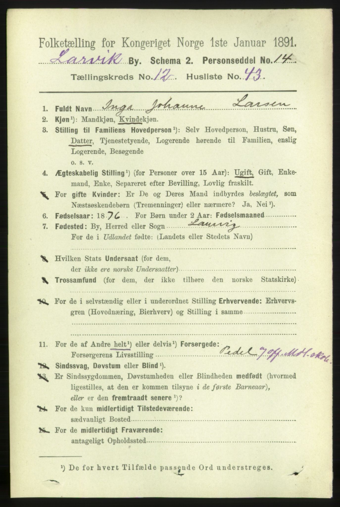 RA, 1891 census for 0707 Larvik, 1891, p. 10481