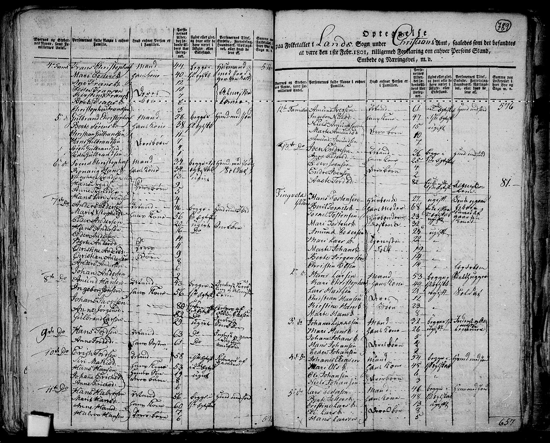 RA, 1801 census for 0536P Land, 1801, p. 788b-789a