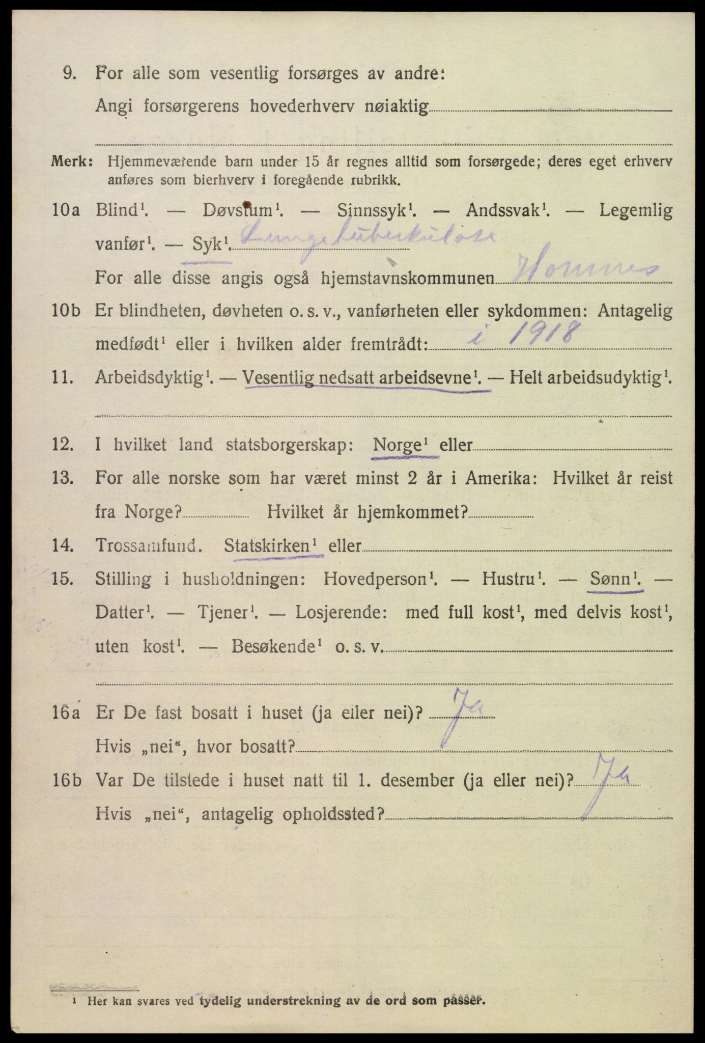 SAK, 1920 census for Hornnes, 1920, p. 1010