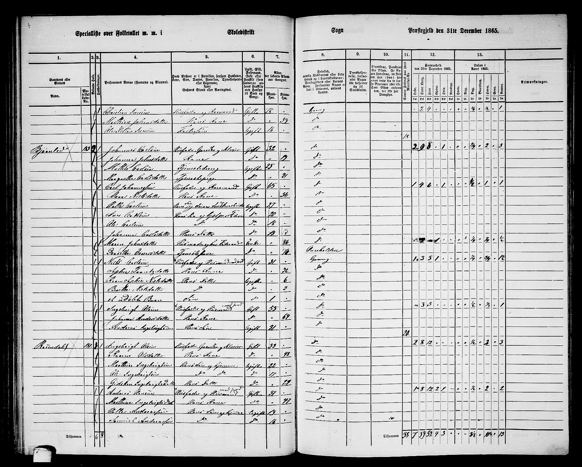 RA, 1865 census for Grong, 1865, p. 91