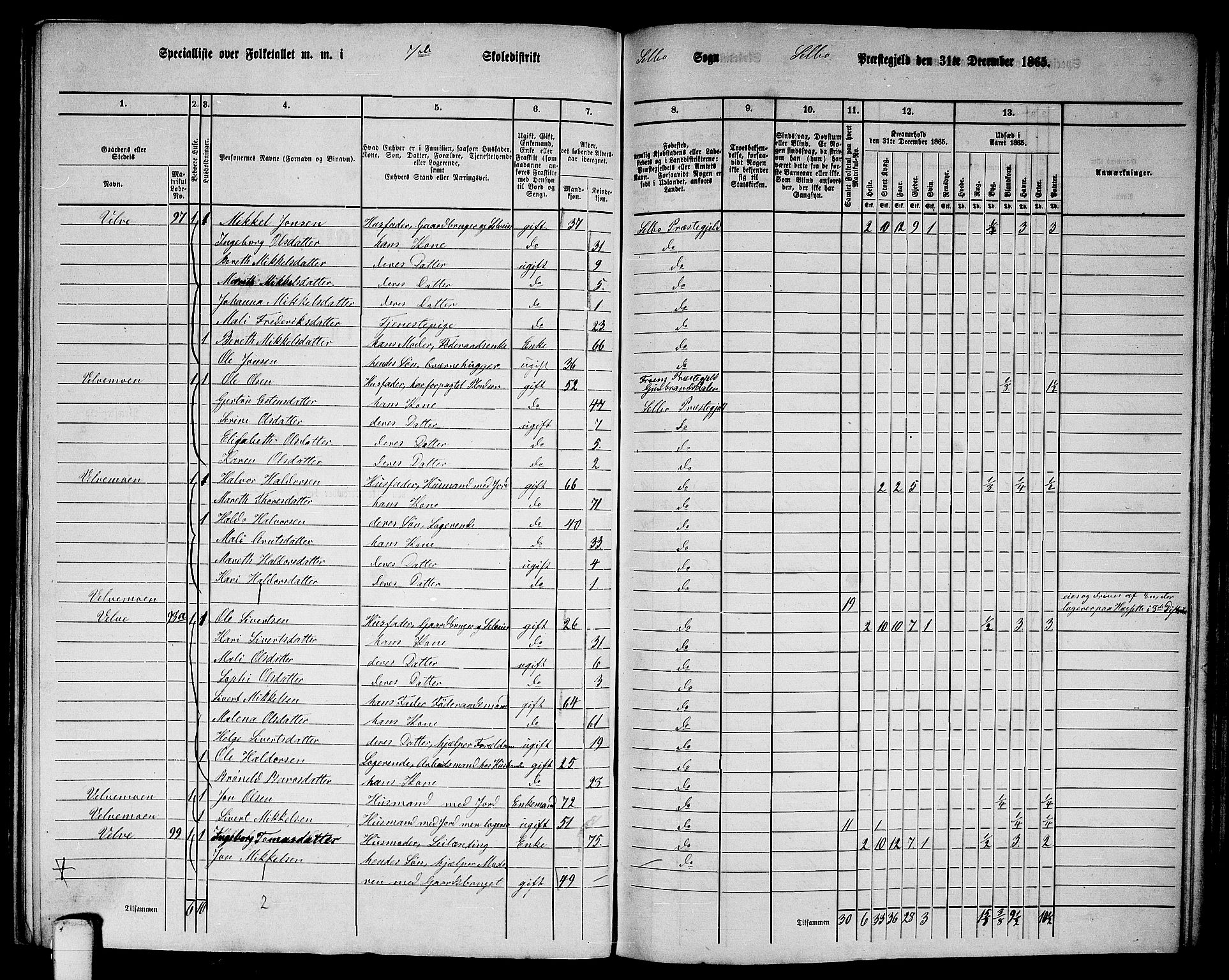 RA, 1865 census for Selbu, 1865, p. 116