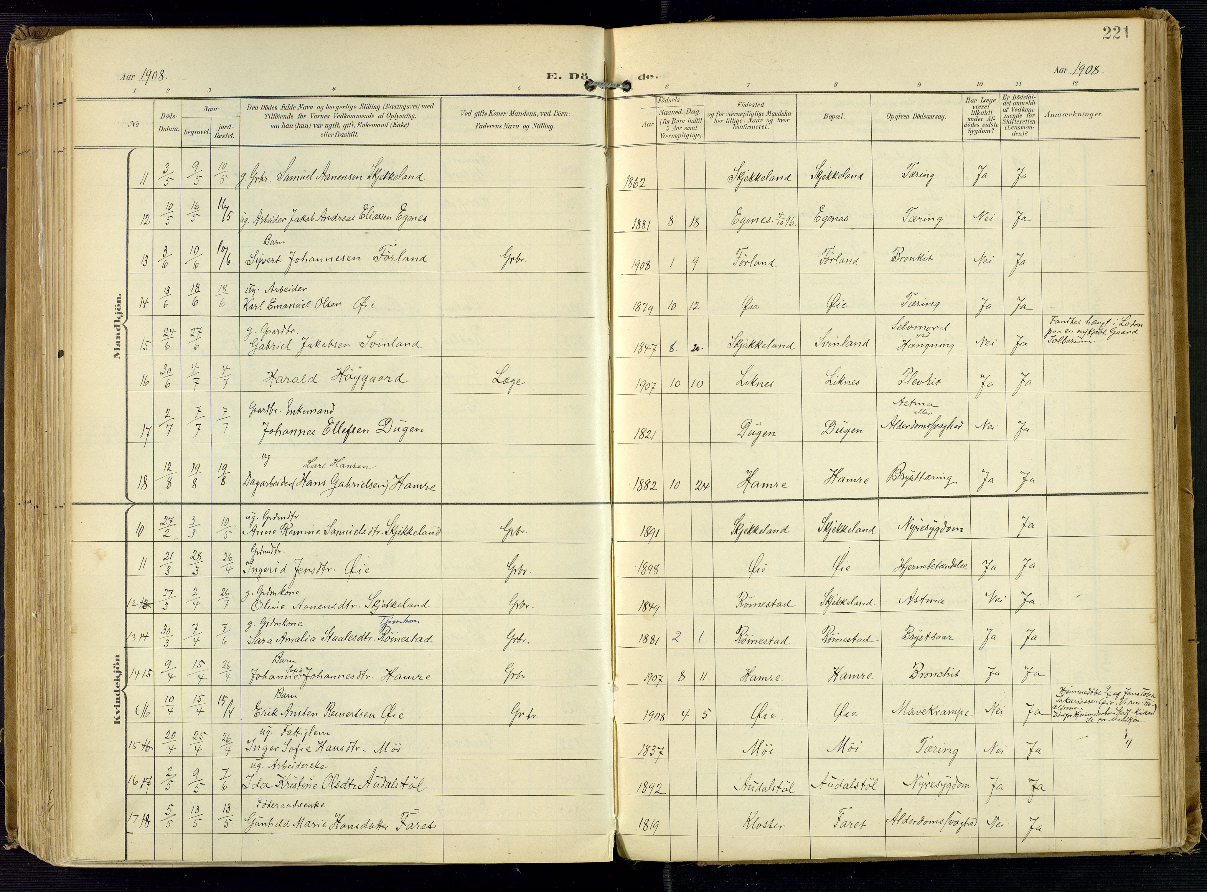 Kvinesdal sokneprestkontor, AV/SAK-1111-0026/F/Fa/Fab/L0009: Parish register (official) no. A 9, 1898-1915, p. 221