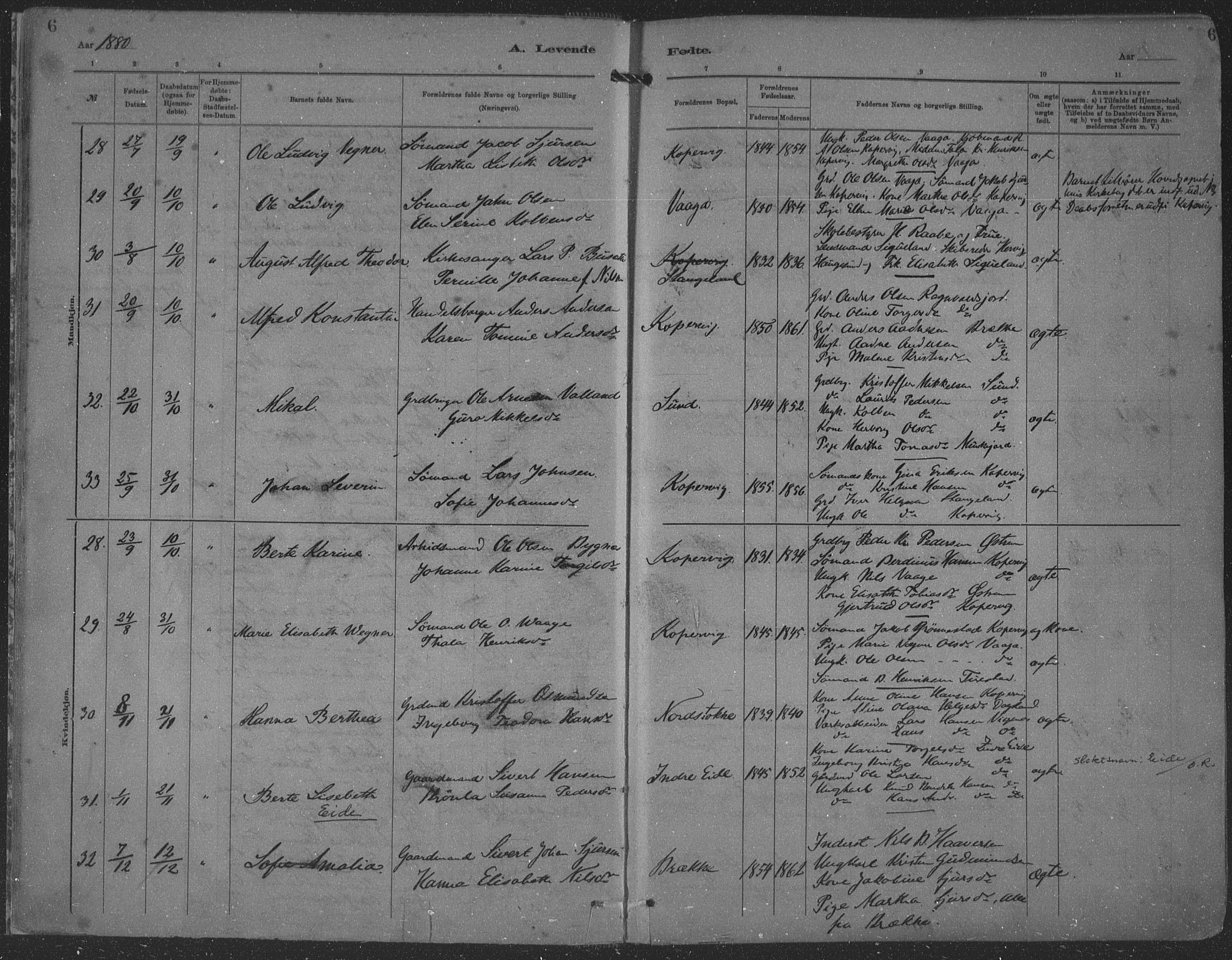 Kopervik sokneprestkontor, AV/SAST-A-101850/H/Ha/Haa/L0001: Parish register (official) no. A 1, 1880-1919, p. 6