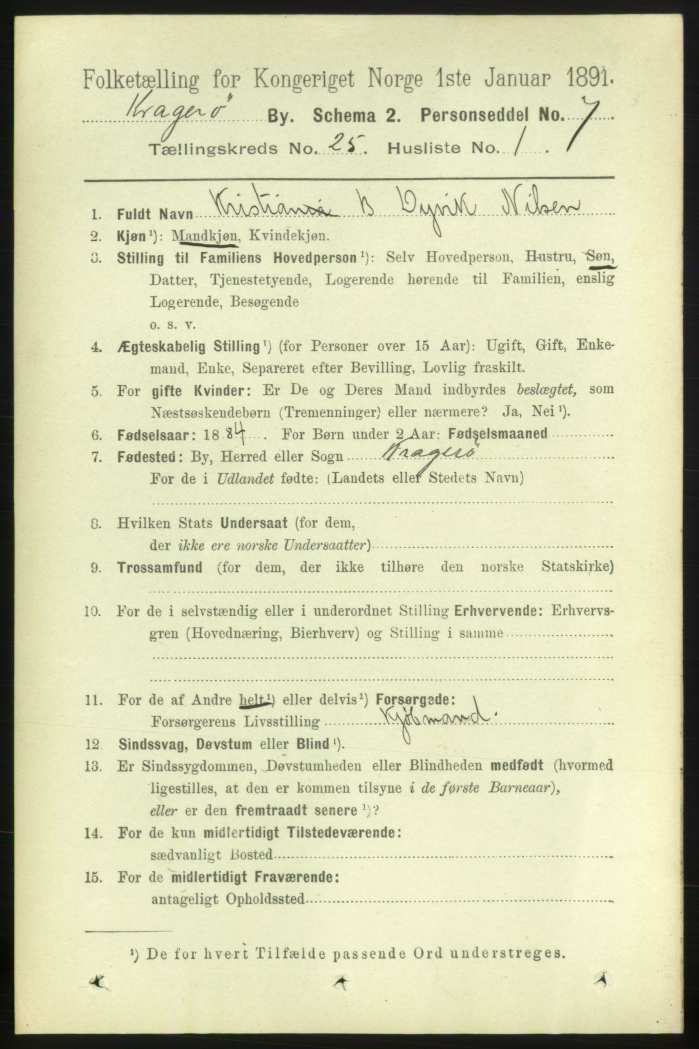 RA, 1891 census for 0801 Kragerø, 1891, p. 5090