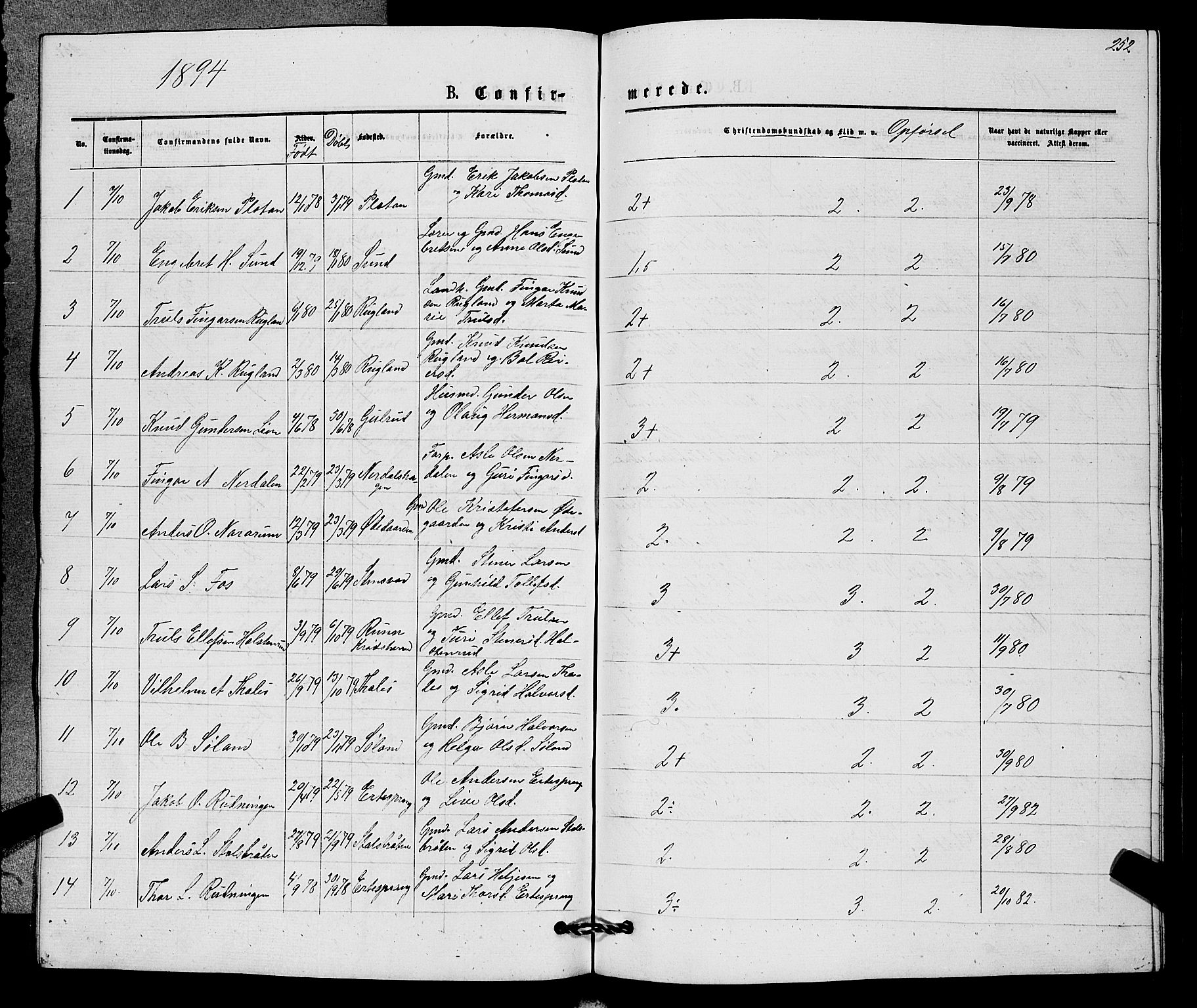 Sigdal kirkebøker, AV/SAKO-A-245/G/Gb/L0002: Parish register (copy) no. II 2, 1875-1900, p. 252