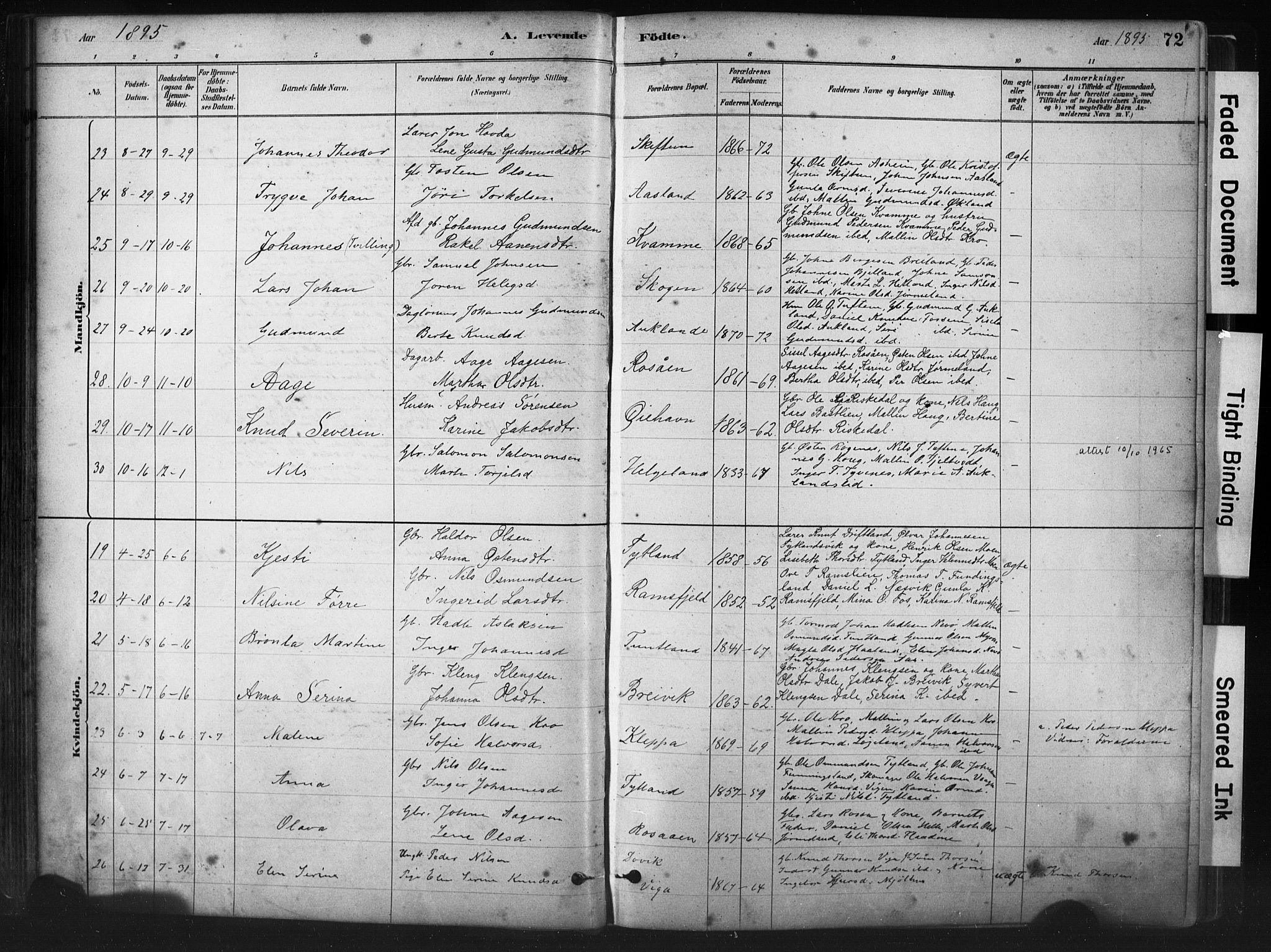Hjelmeland sokneprestkontor, AV/SAST-A-101843/01/IV/L0014: Parish register (official) no. A 14, 1879-1900, p. 72