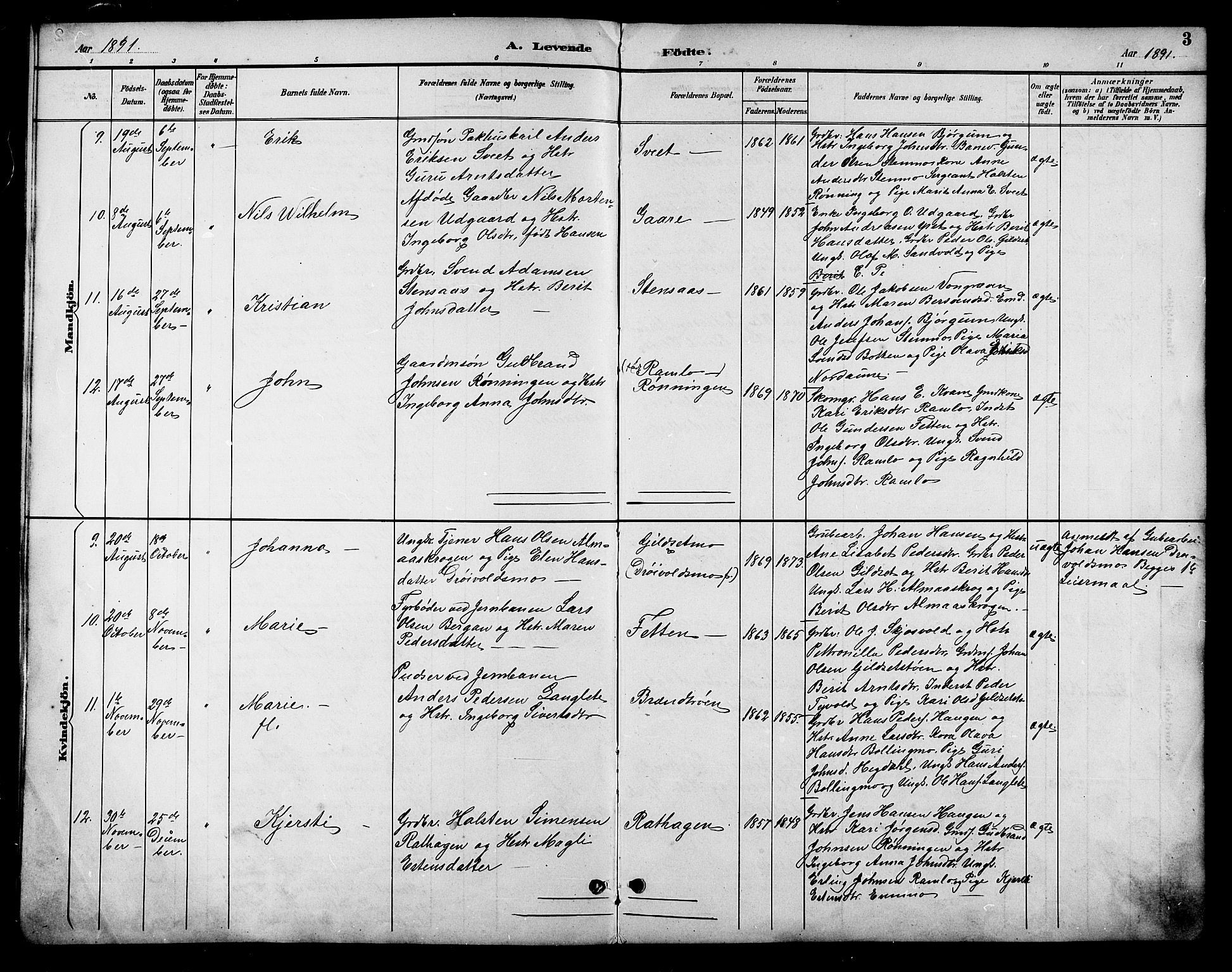 Ministerialprotokoller, klokkerbøker og fødselsregistre - Sør-Trøndelag, SAT/A-1456/685/L0978: Parish register (copy) no. 685C03, 1891-1907, p. 3
