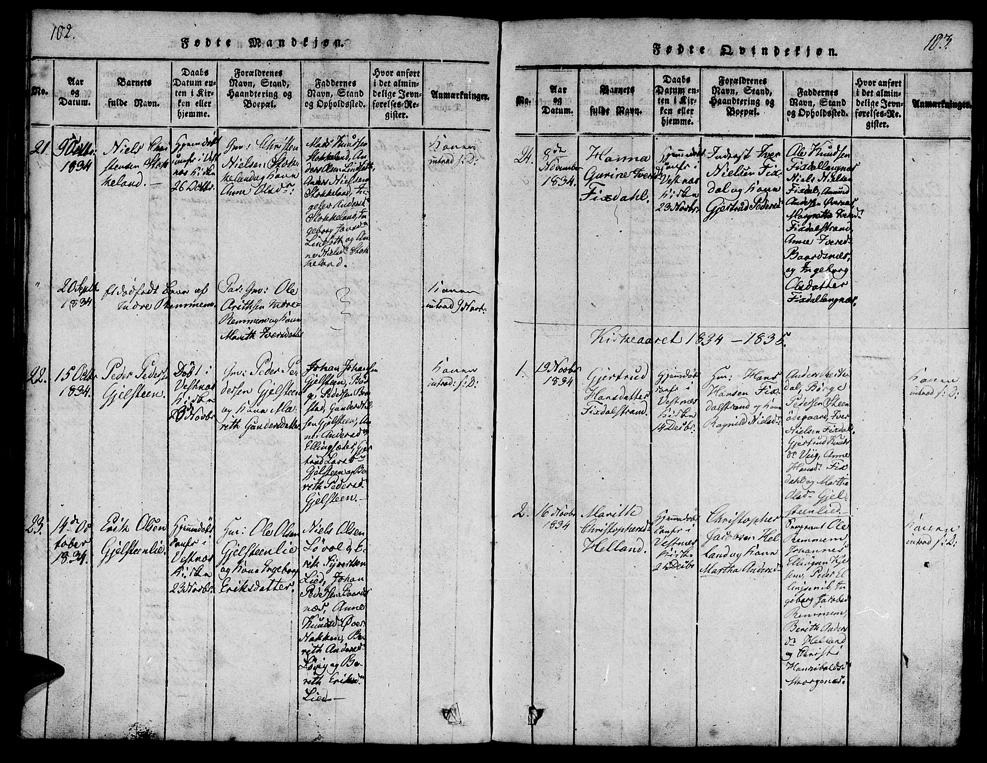 Ministerialprotokoller, klokkerbøker og fødselsregistre - Møre og Romsdal, SAT/A-1454/539/L0528: Parish register (official) no. 539A01, 1818-1847, p. 102-103
