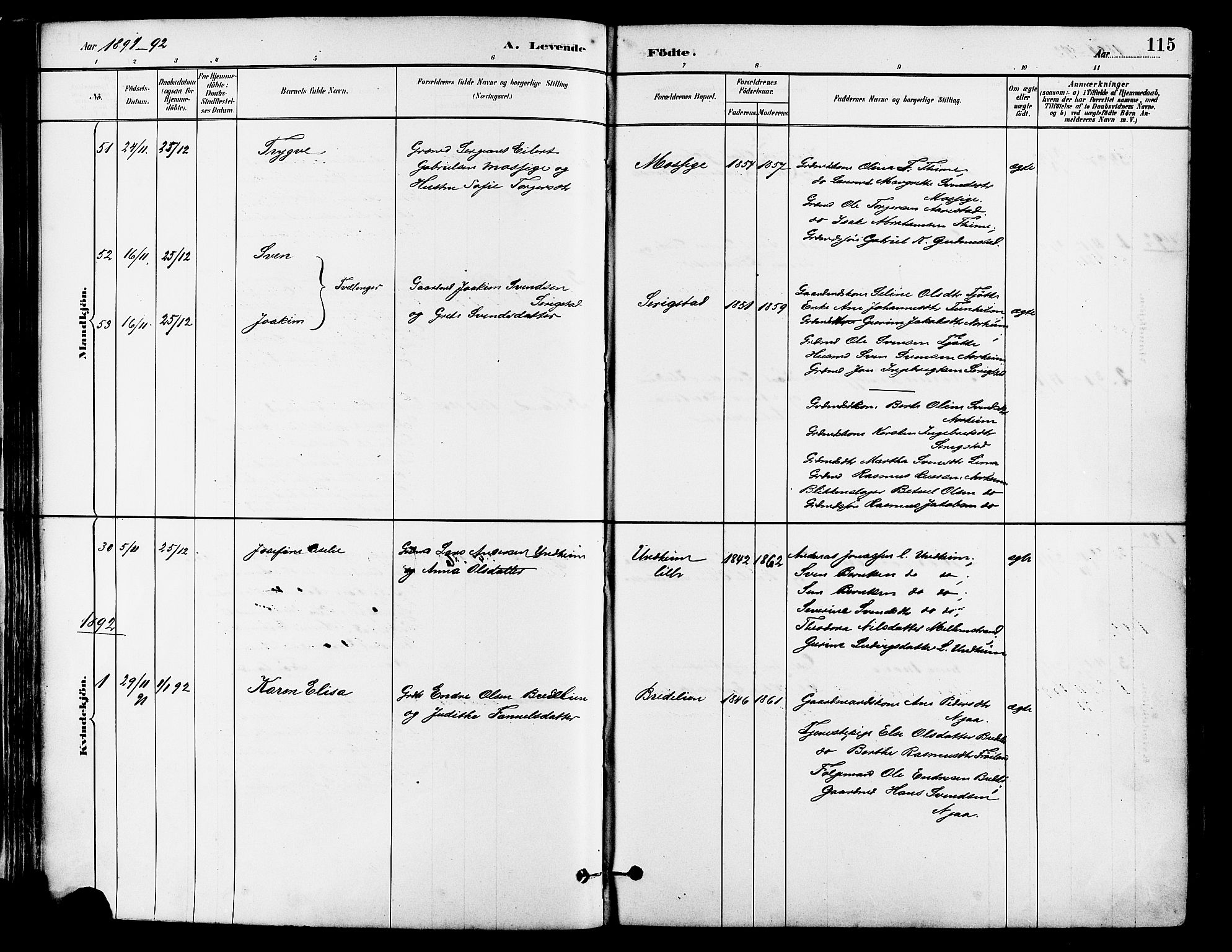 Lye sokneprestkontor, SAST/A-101794/001/30BA/L0009: Parish register (official) no. A 8, 1881-1892, p. 115