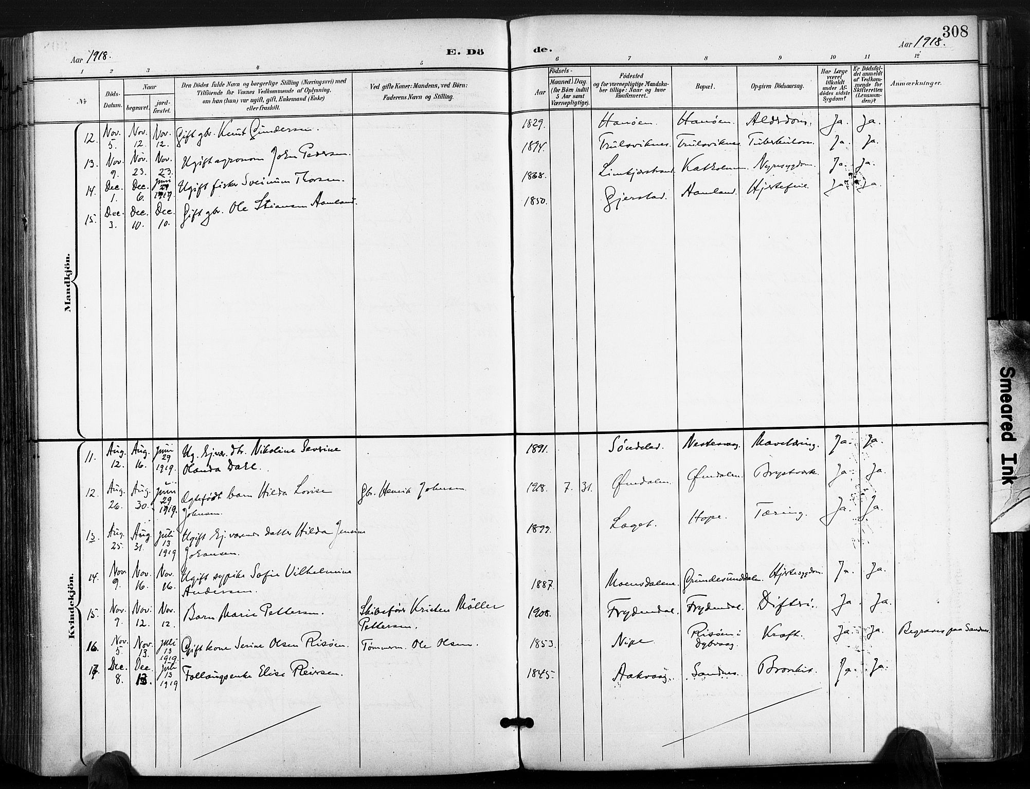Søndeled sokneprestkontor, SAK/1111-0038/F/Fa/L0006: Parish register (official) no. A 6, 1900-1922, p. 308