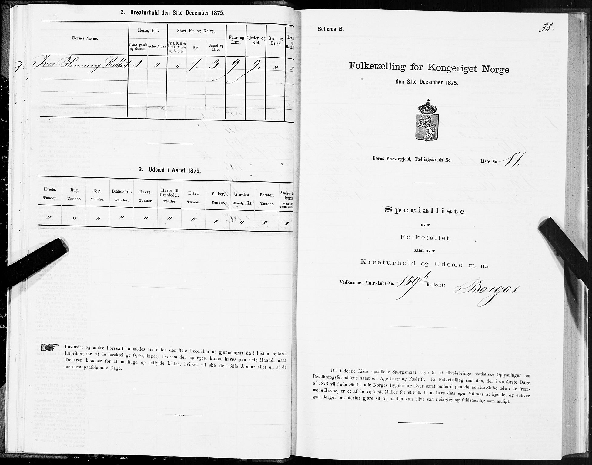 SAT, 1875 census for 1640P Røros, 1875, p. 5033