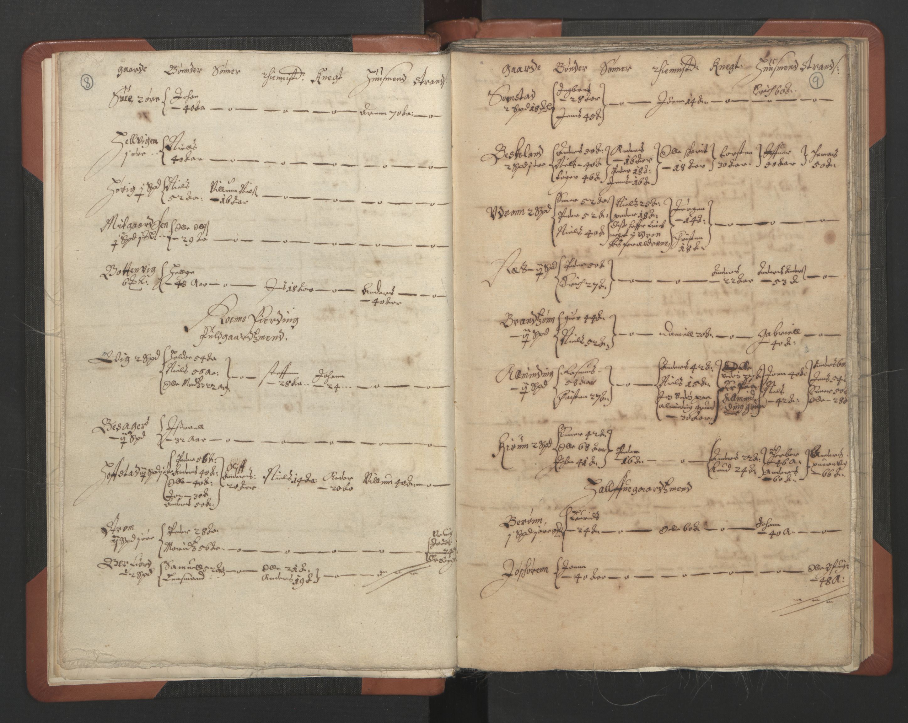 RA, Vicar's Census 1664-1666, no. 30: Fosen deanery, 1664-1666, p. 8-9
