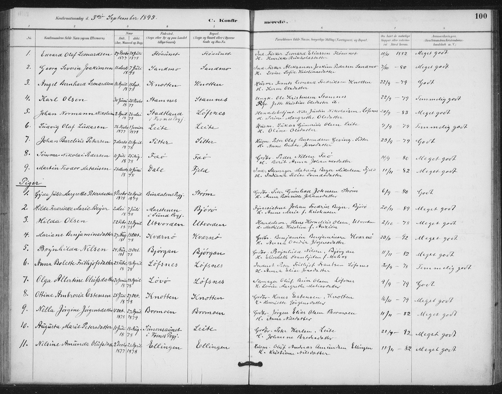 Ministerialprotokoller, klokkerbøker og fødselsregistre - Nord-Trøndelag, SAT/A-1458/772/L0603: Parish register (official) no. 772A01, 1885-1912, p. 100