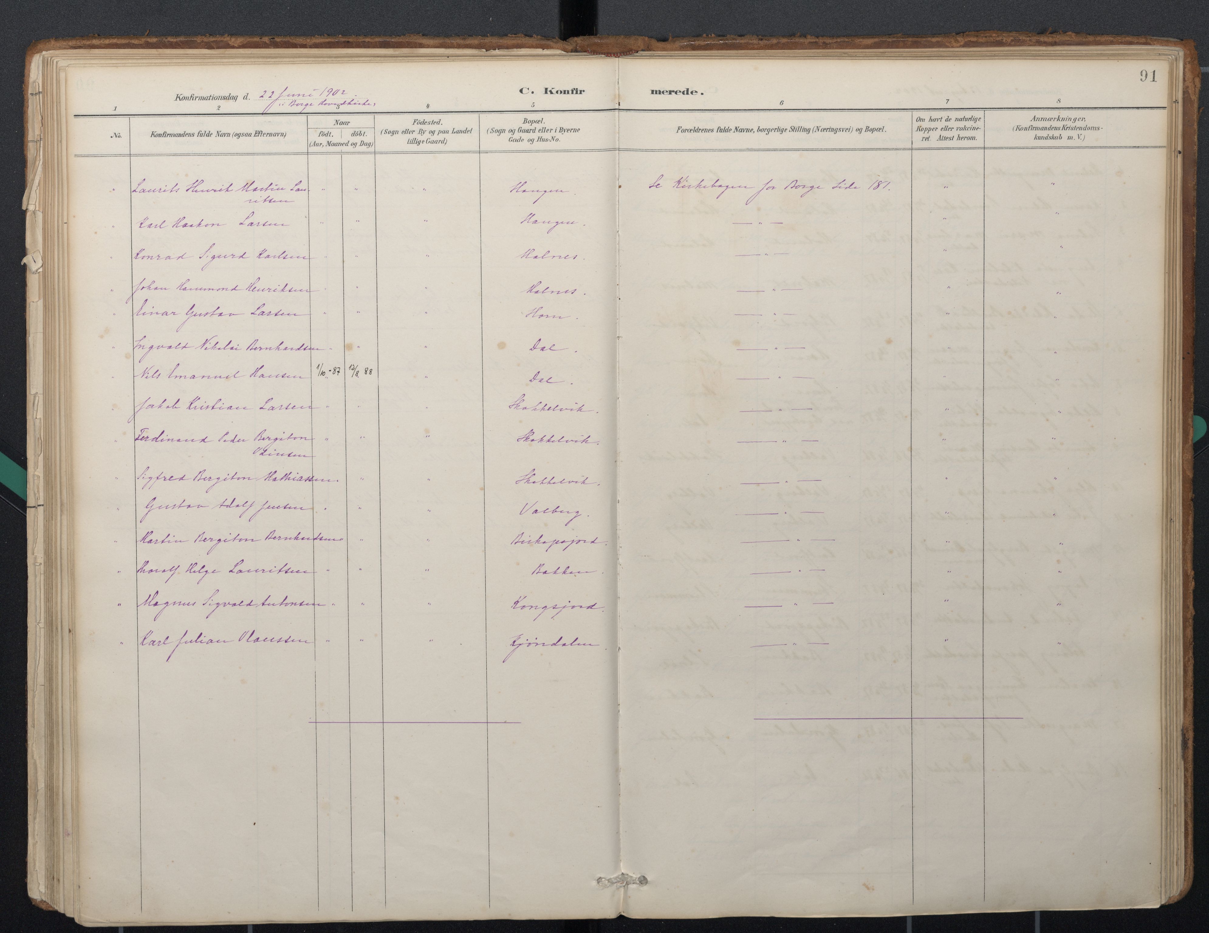 Ministerialprotokoller, klokkerbøker og fødselsregistre - Nordland, AV/SAT-A-1459/884/L1193: Parish register (official) no. 884A01, 1888-1905, p. 91