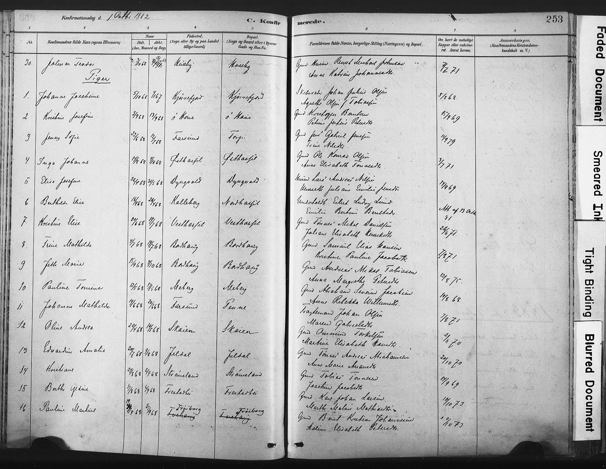 Lista sokneprestkontor, AV/SAK-1111-0027/F/Fa/L0012: Parish register (official) no. A 12, 1879-1903, p. 253