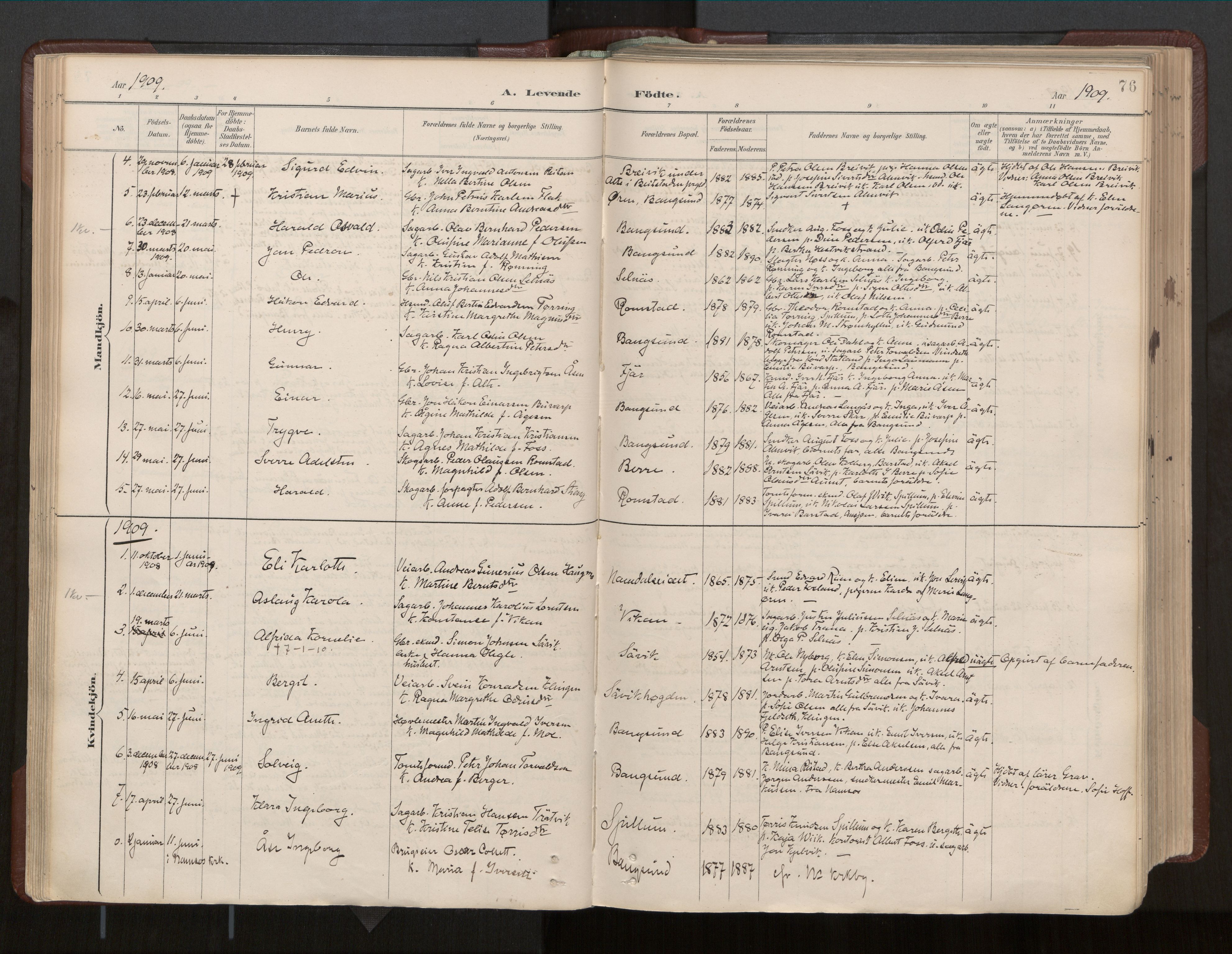 Ministerialprotokoller, klokkerbøker og fødselsregistre - Nord-Trøndelag, SAT/A-1458/770/L0589: Parish register (official) no. 770A03, 1887-1929, p. 76