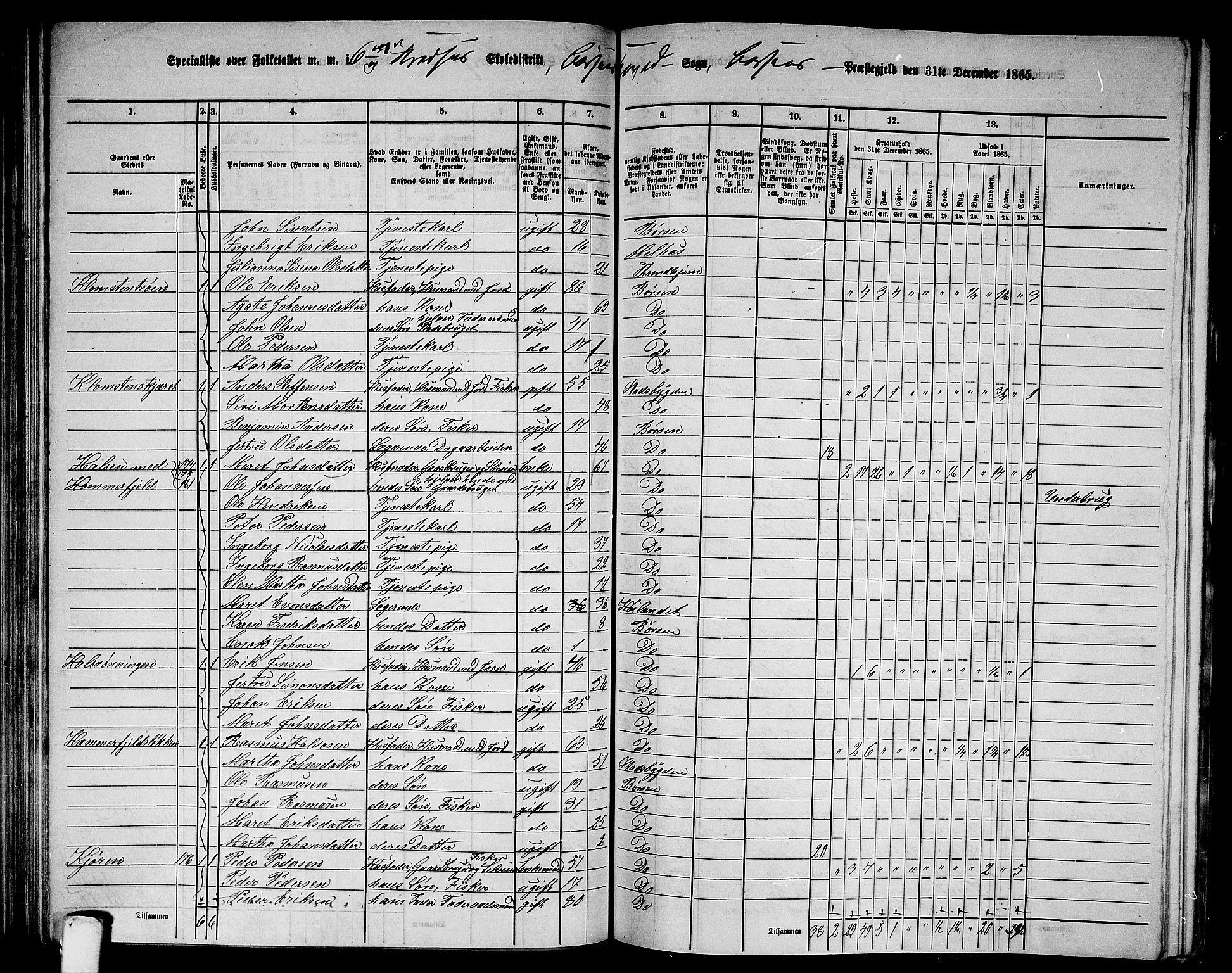 RA, 1865 census for Børsa, 1865, p. 97