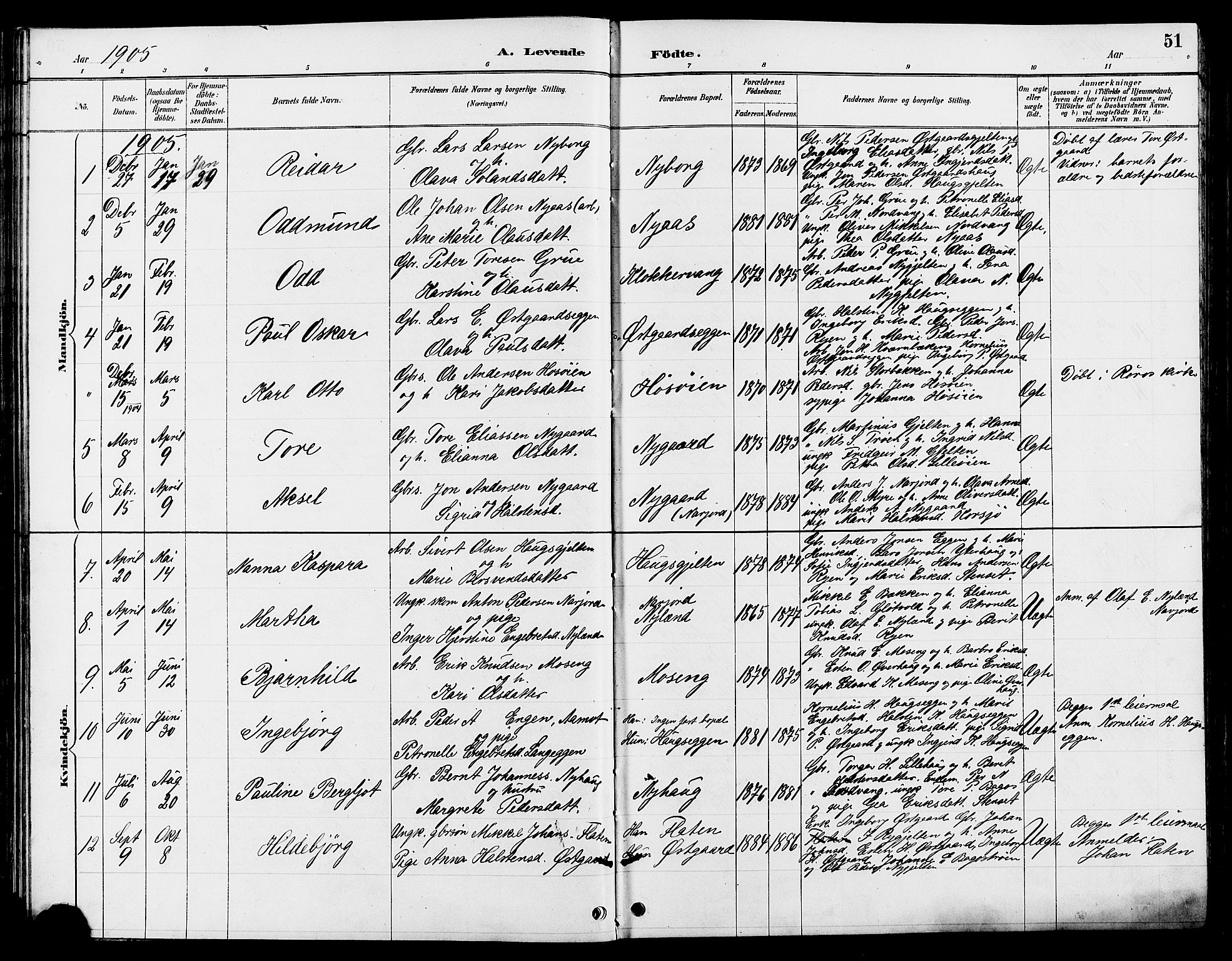 Tolga prestekontor, AV/SAH-PREST-062/L/L0008: Parish register (copy) no. 8, 1887-1912, p. 51