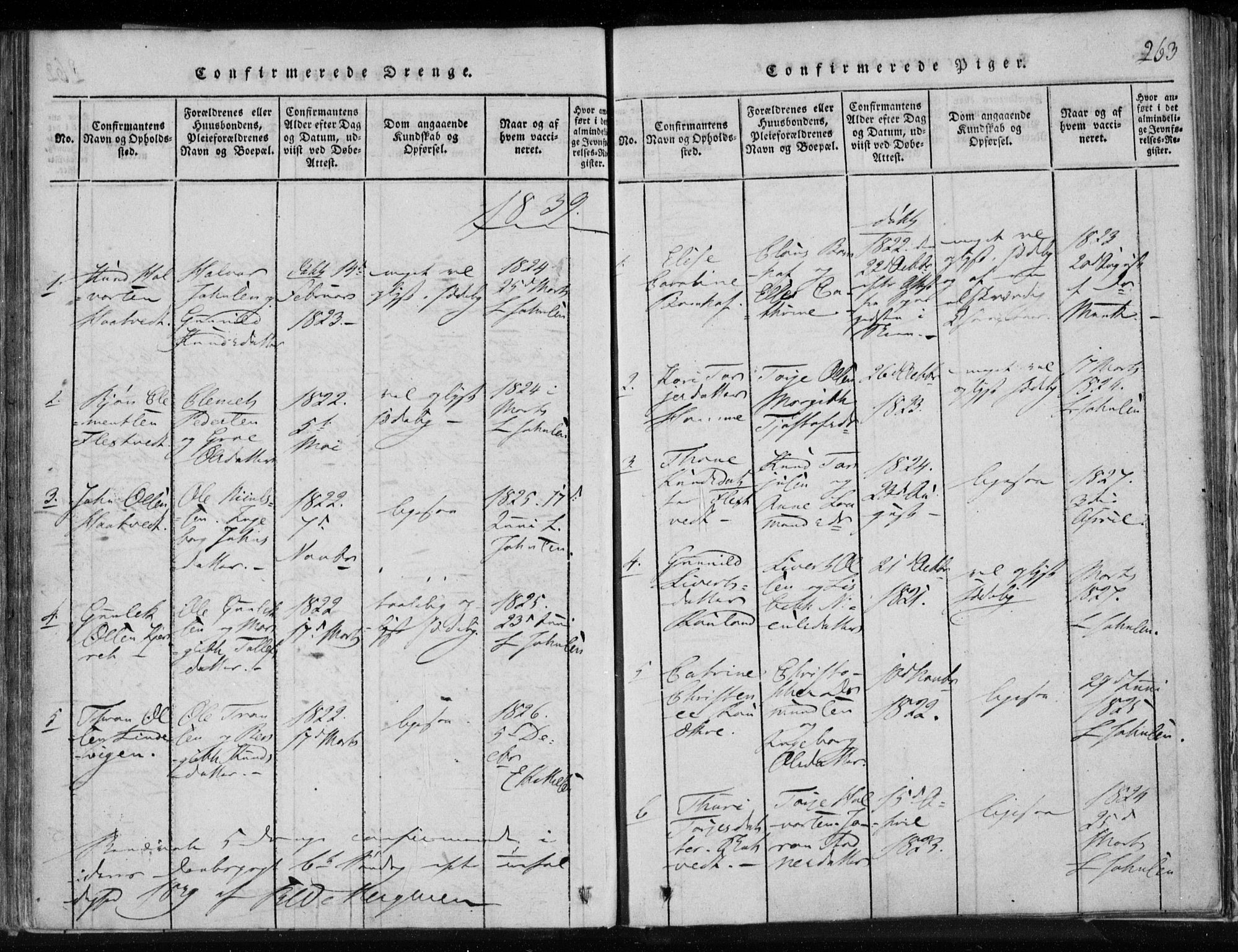 Lårdal kirkebøker, SAKO/A-284/F/Fa/L0005: Parish register (official) no. I 5, 1815-1860, p. 263