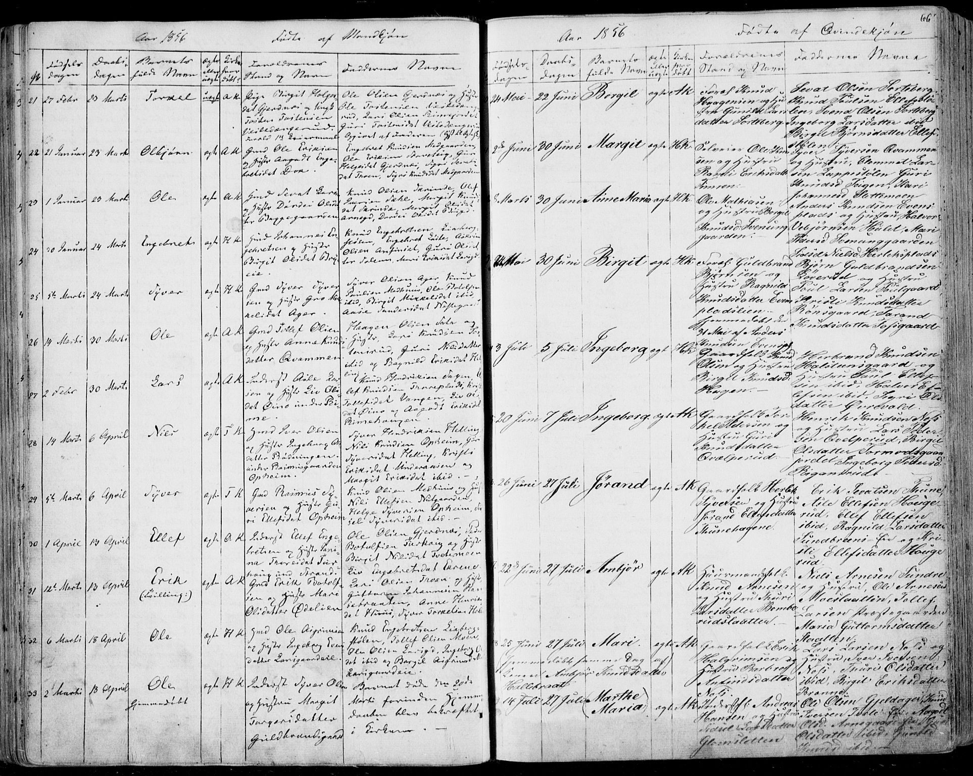 Ål kirkebøker, AV/SAKO-A-249/F/Fa/L0006: Parish register (official) no. I 6, 1849-1864, p. 66