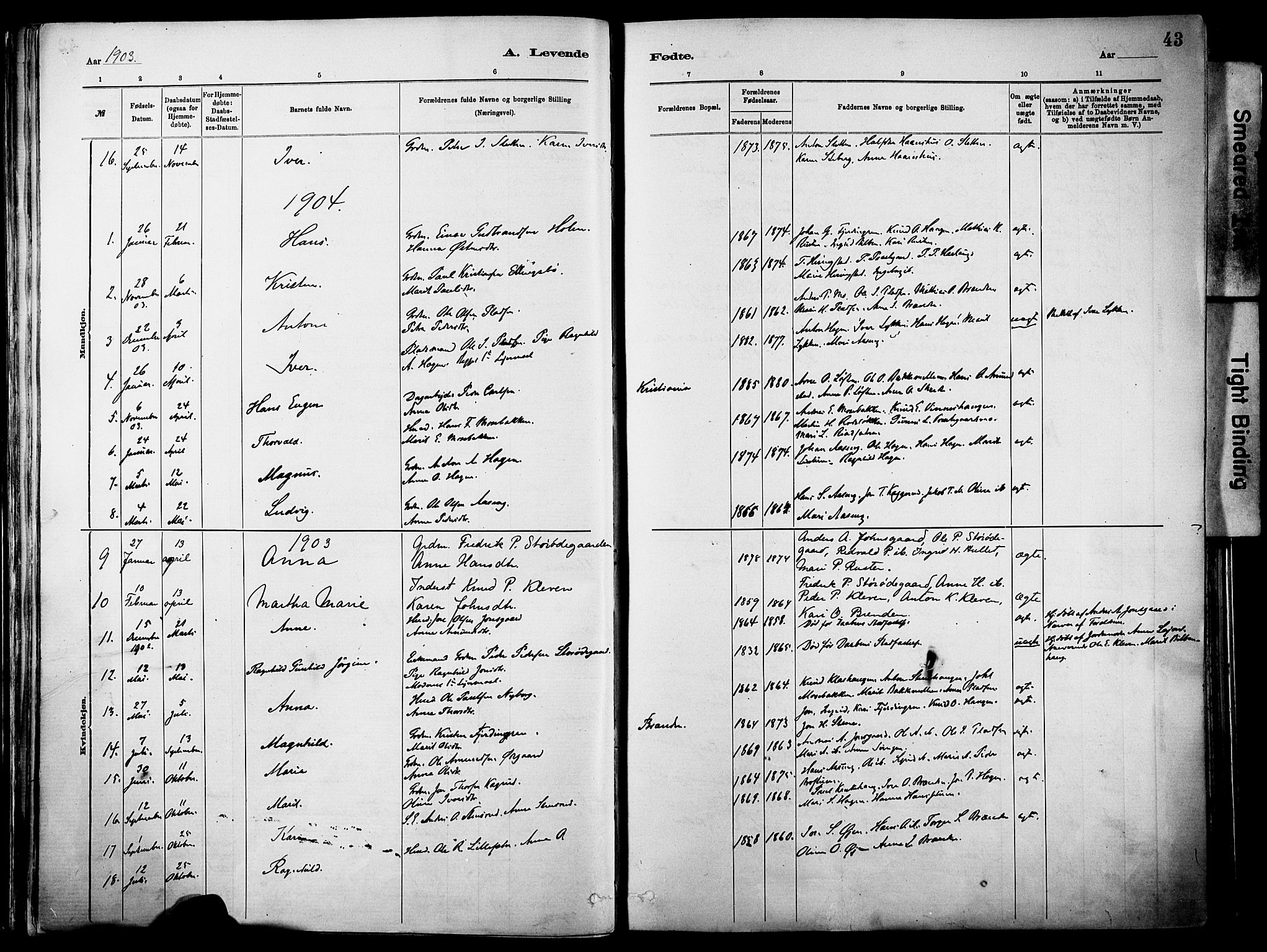 Vågå prestekontor, SAH/PREST-076/H/Ha/Haa/L0010: Parish register (official) no. 10, 1887-1904, p. 43
