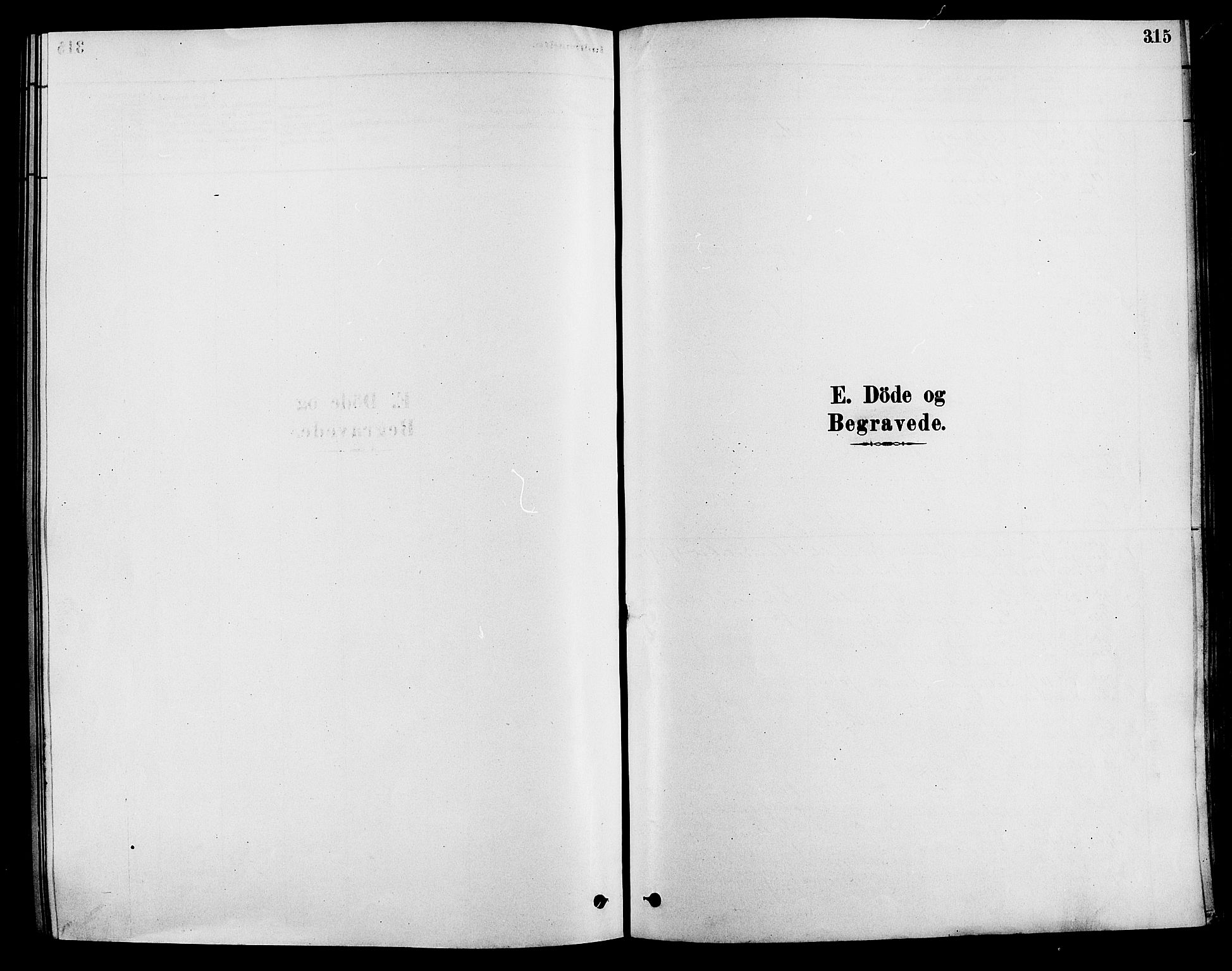 Løten prestekontor, SAH/PREST-022/K/Ka/L0009: Parish register (official) no. 9, 1878-1891, p. 315
