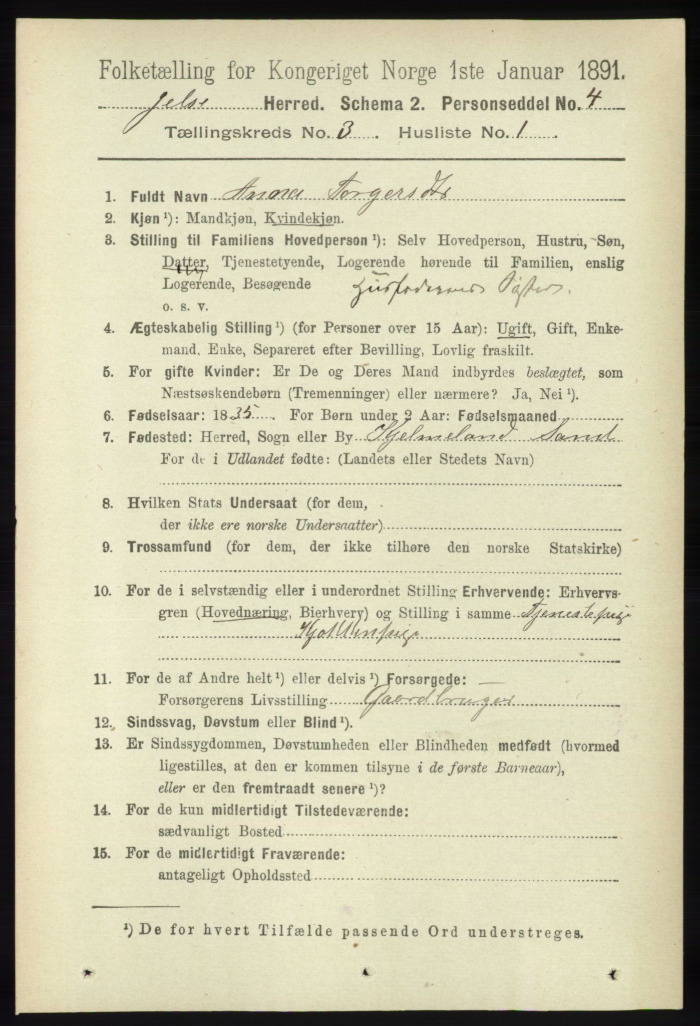 RA, 1891 census for 1138 Jelsa, 1891, p. 380