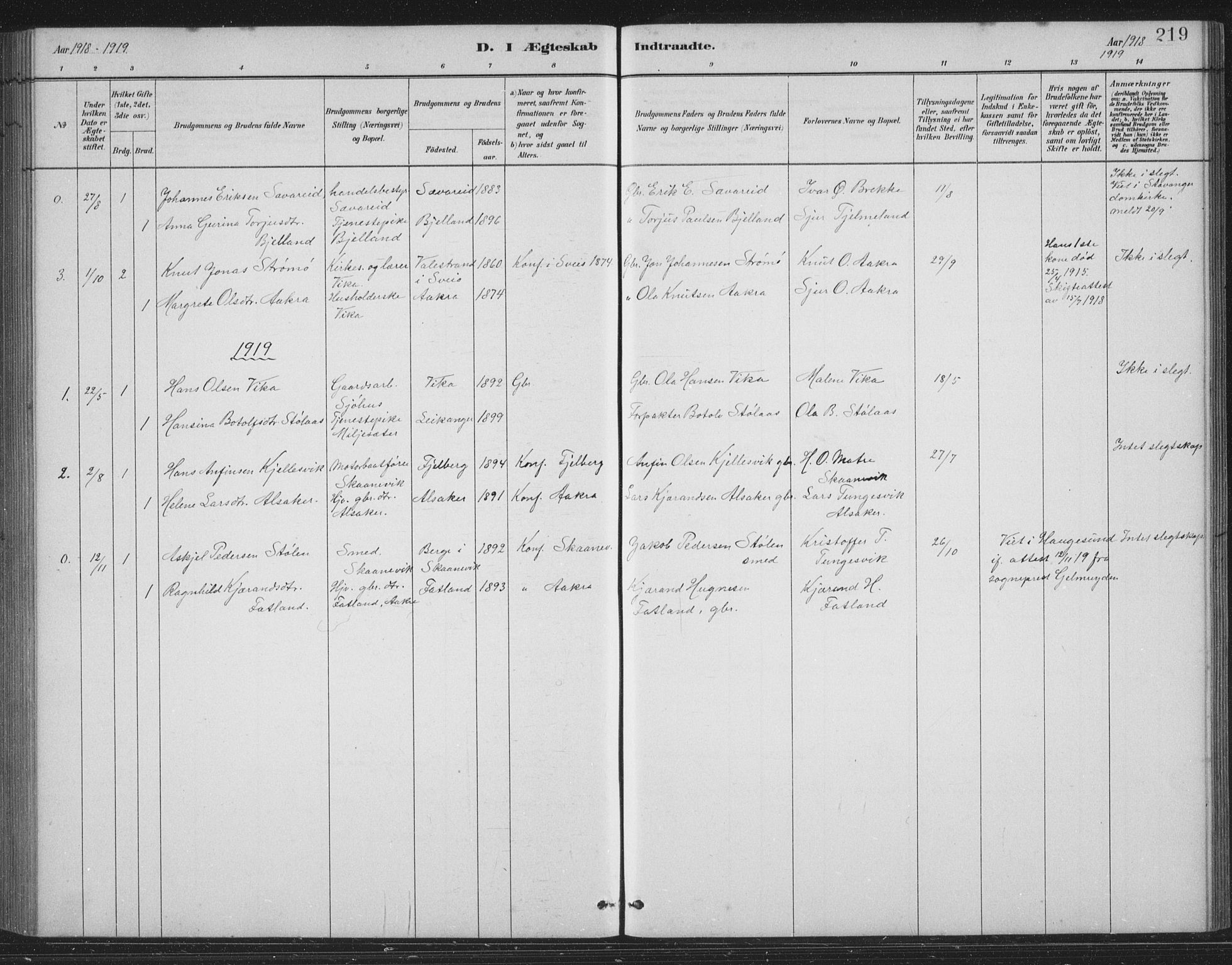 Skånevik sokneprestembete, AV/SAB-A-77801/H/Hab: Parish register (copy) no. B 2, 1881-1920, p. 219