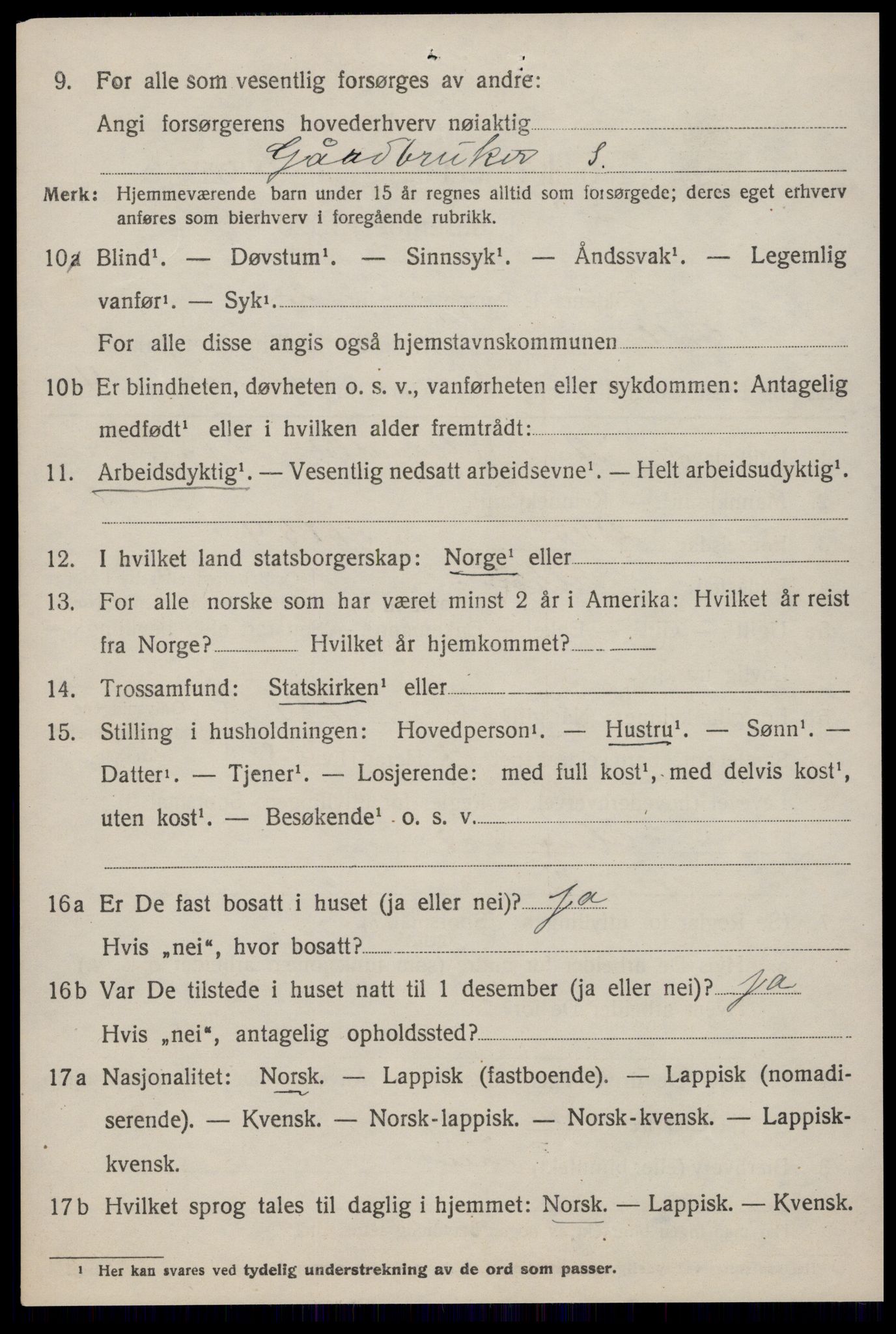 SAT, 1920 census for Selbu, 1920, p. 1677