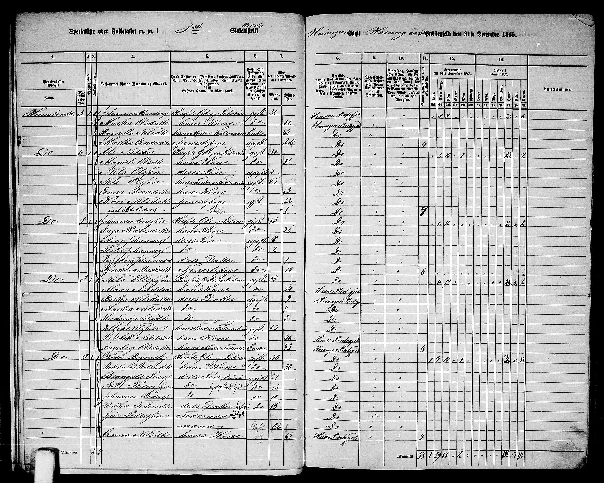 RA, 1865 census for Hosanger, 1865, p. 20