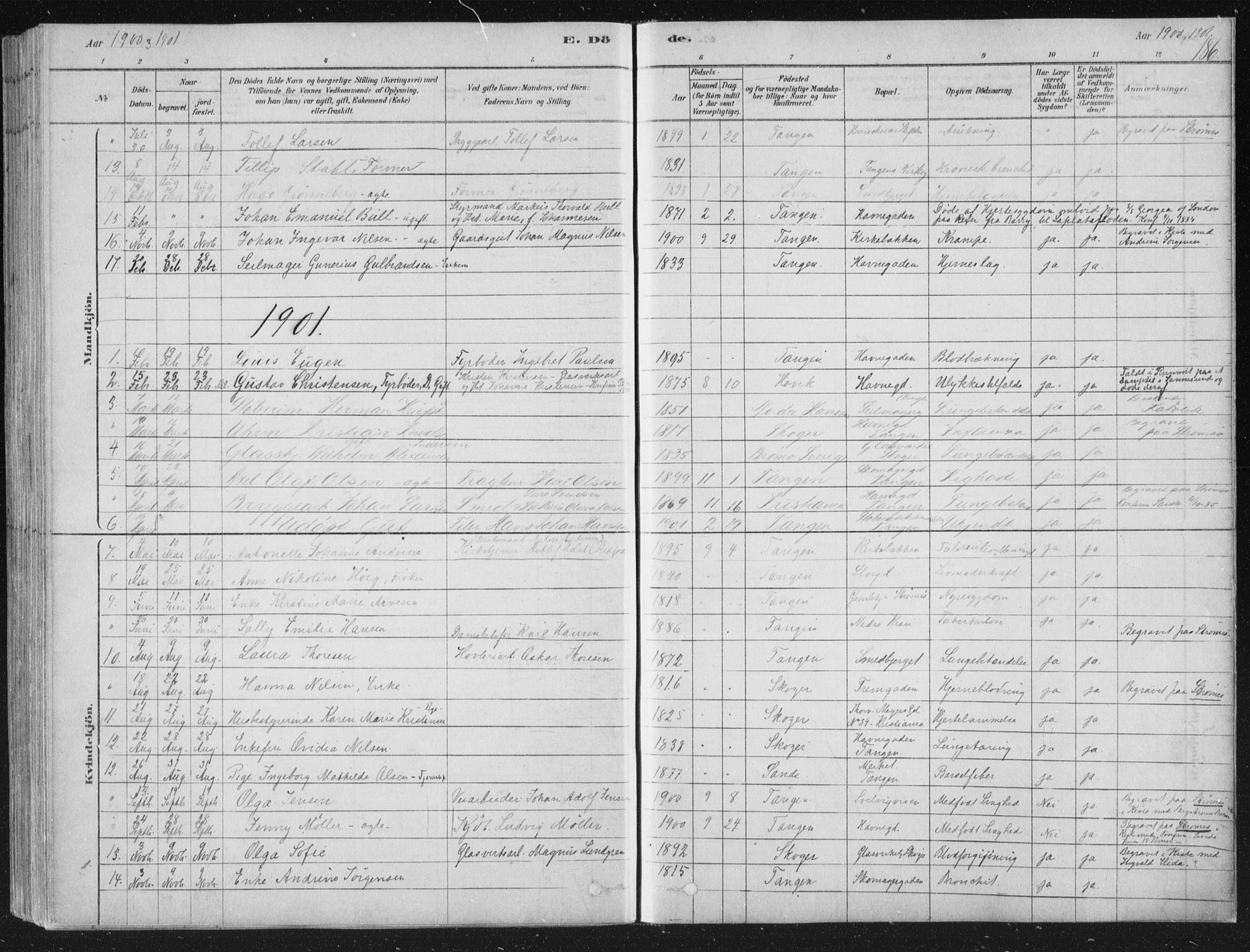 Strømsø kirkebøker, AV/SAKO-A-246/F/Fb/L0005: Parish register (official) no. II 5, 1877-1902, p. 186